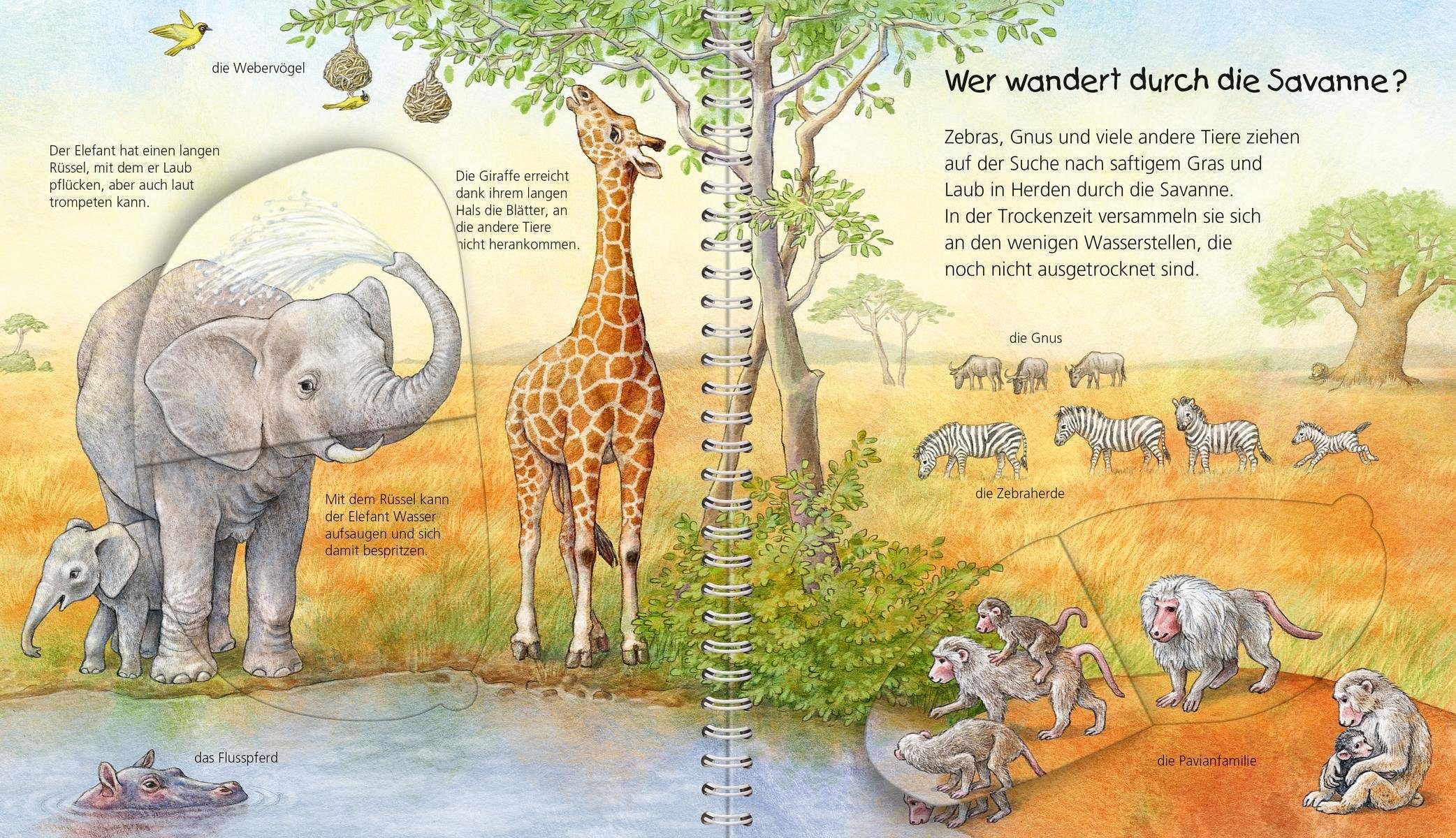 Ravensburger Buch »Mein junior-Lexikon: Tiere - Wieso? Weshalb? Warum?«, Made in Europe; FSC® - schützt Wald - weltweit