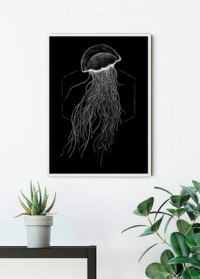(1 »Jellyfish bei Komar St.), Kinderzimmer, Schlafzimmer, Wohnzimmer Poster Black«, OTTO Tiere,