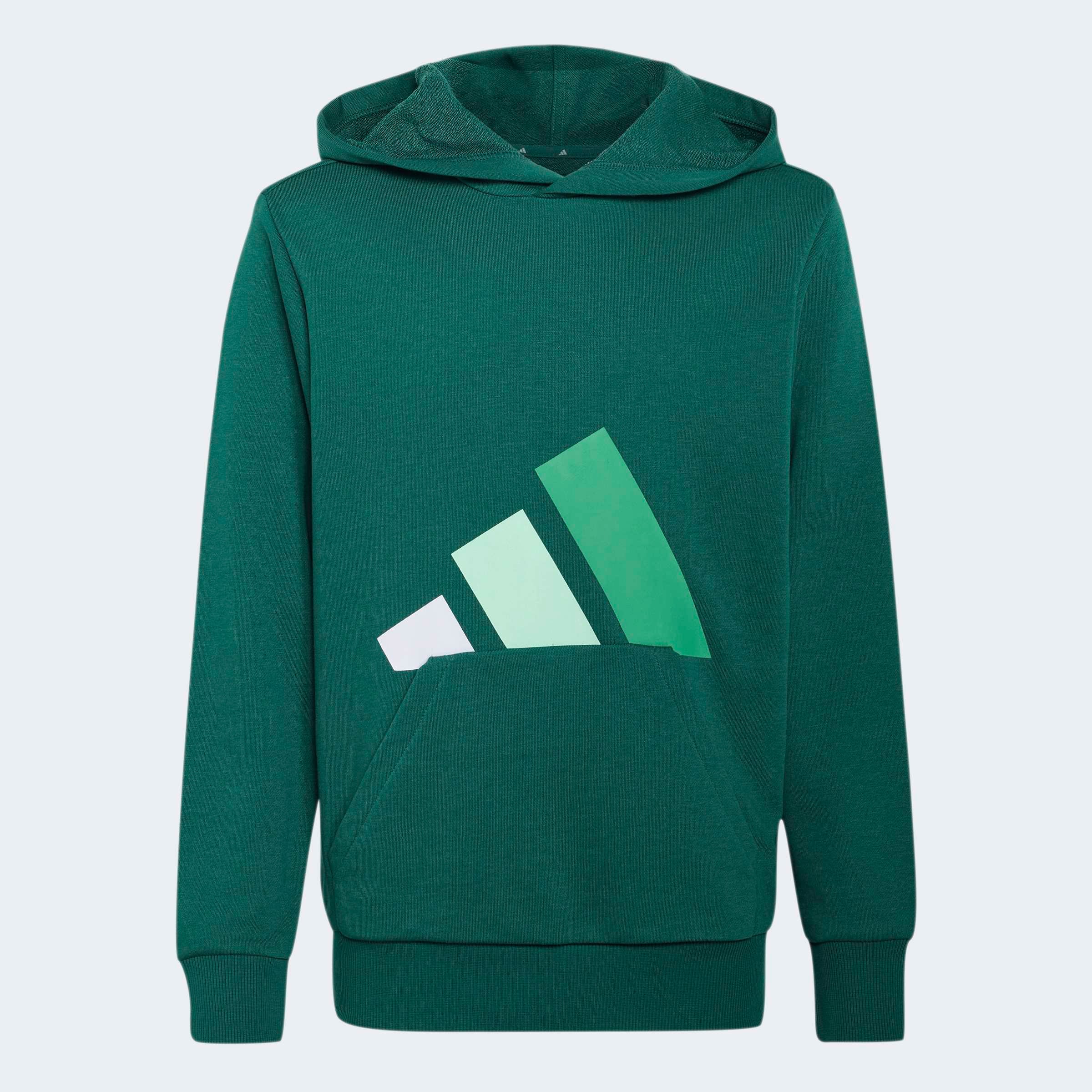 adidas Sportswear Kapuzensweatshirt »J BL FT HD 280«
