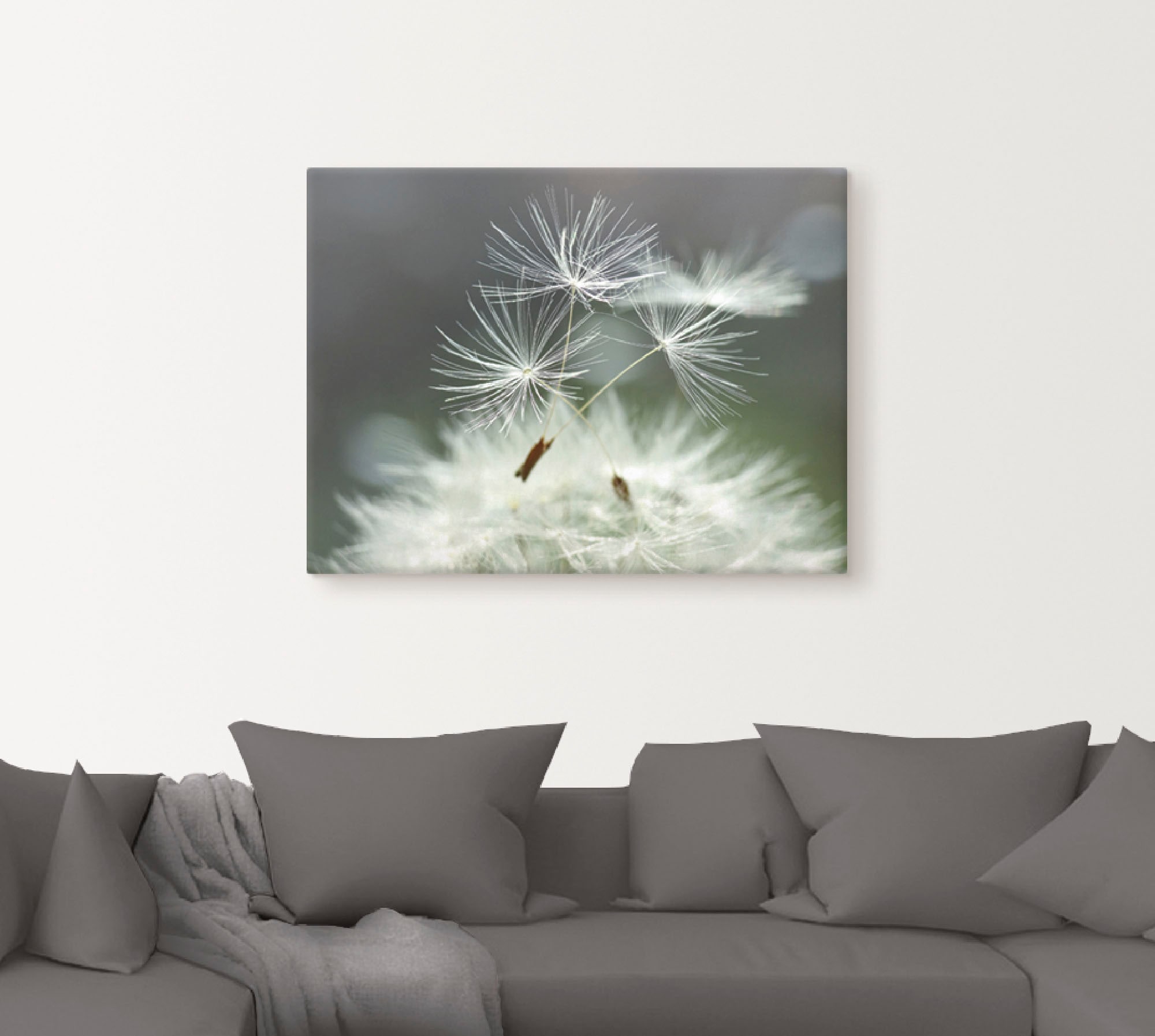 Artland Wandbild »Pusteblume Facility« Blumen 1 Stk. tlg. als Alubild, Leinwandbild, Poster in verschied. Größen