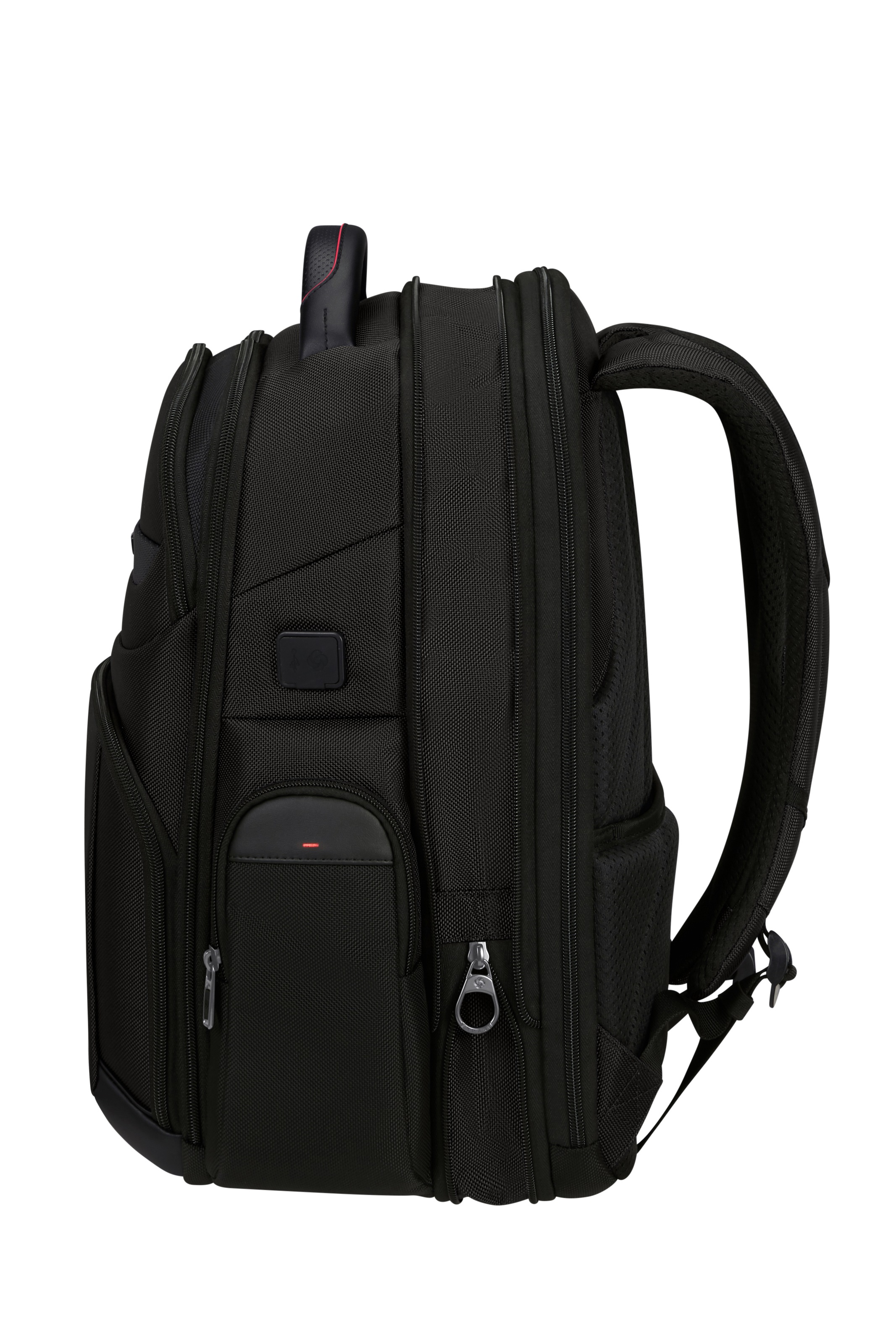 Samsonite Laptoprucksack »PRO-DLX 6« erweiterbar (EXP)