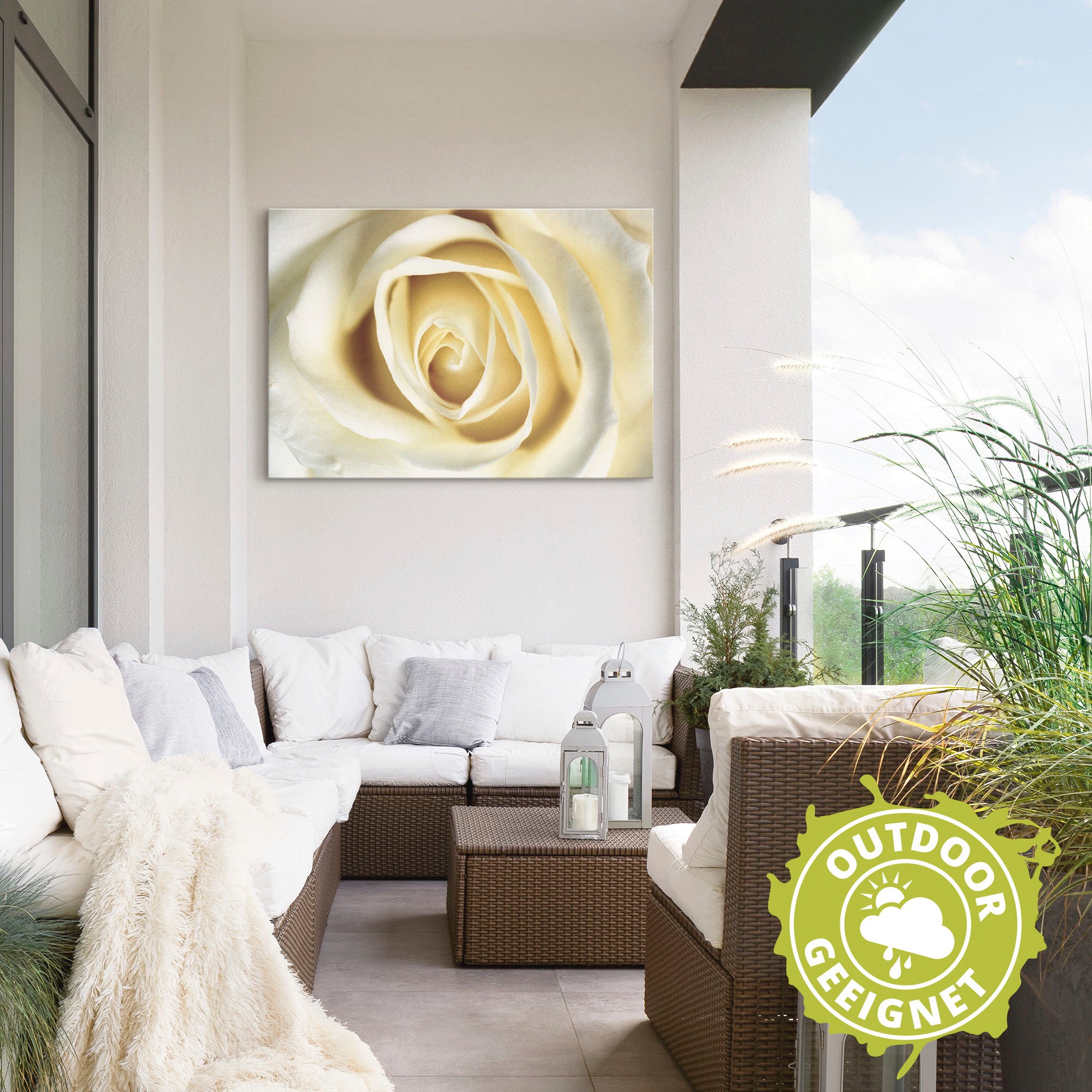 Artland Wandbild »Weiße Rose«, Blumen, (1 St.), als Alubild, Outdoorbild, Leinwandbild in verschied. Größen