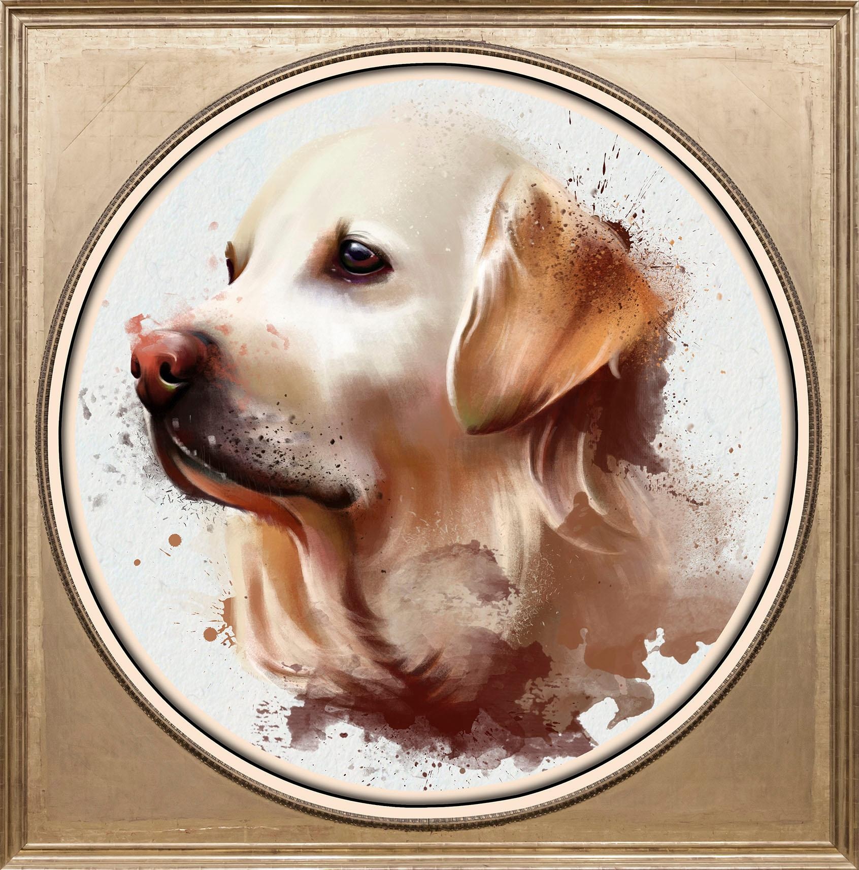 queence Acrylglasbild »Golden Retriever«