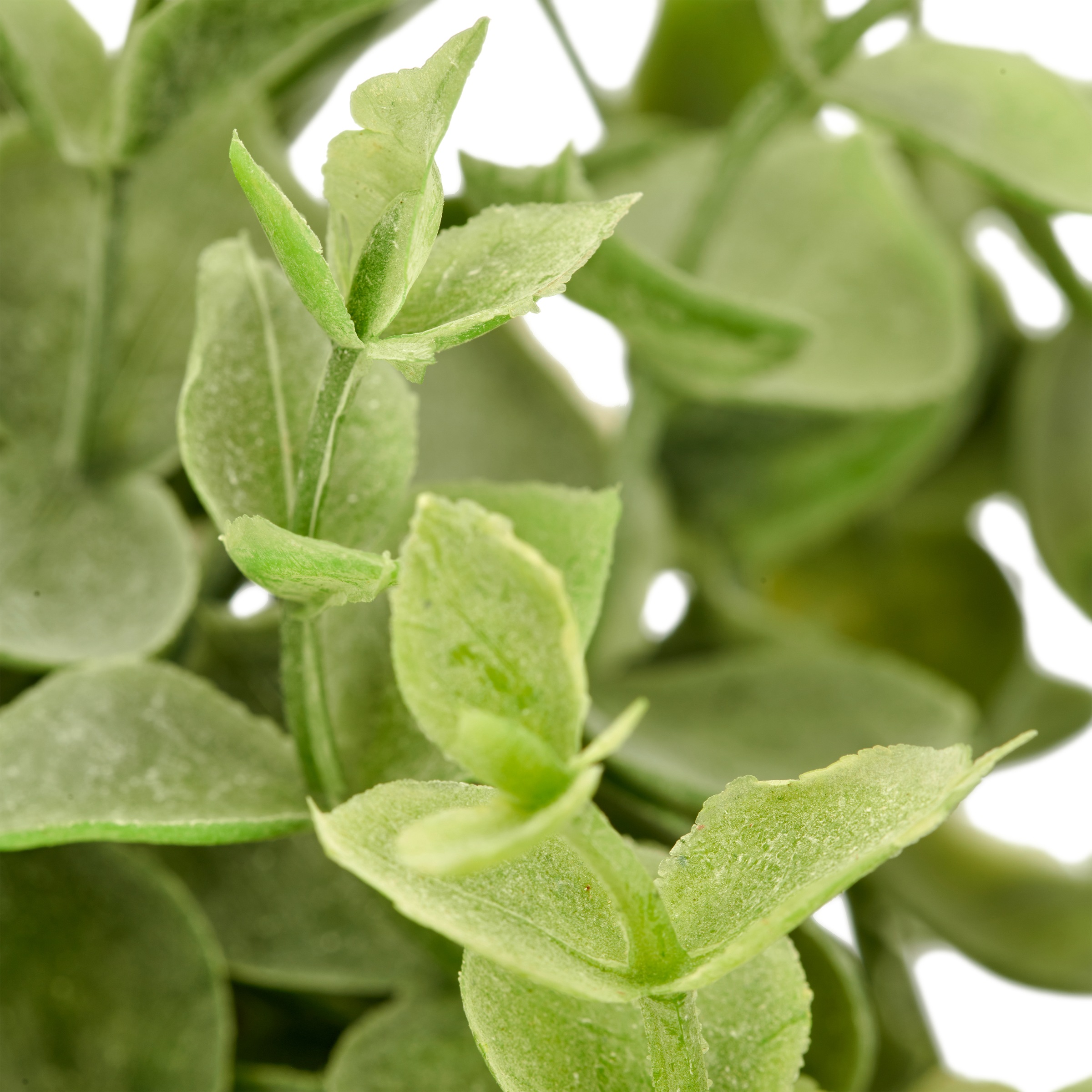 Creativ green Kunstkranz »Eukalyptuskranz« mit Basis aus Mühlenbeckiareisig