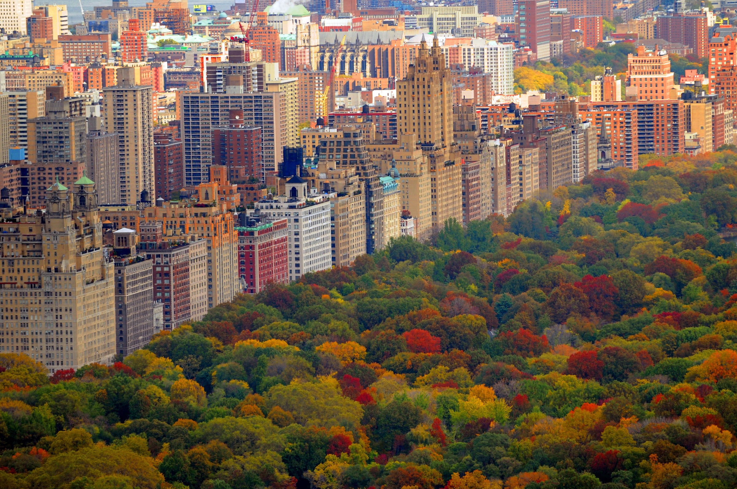 Papermoon Fototapete »Central Park«