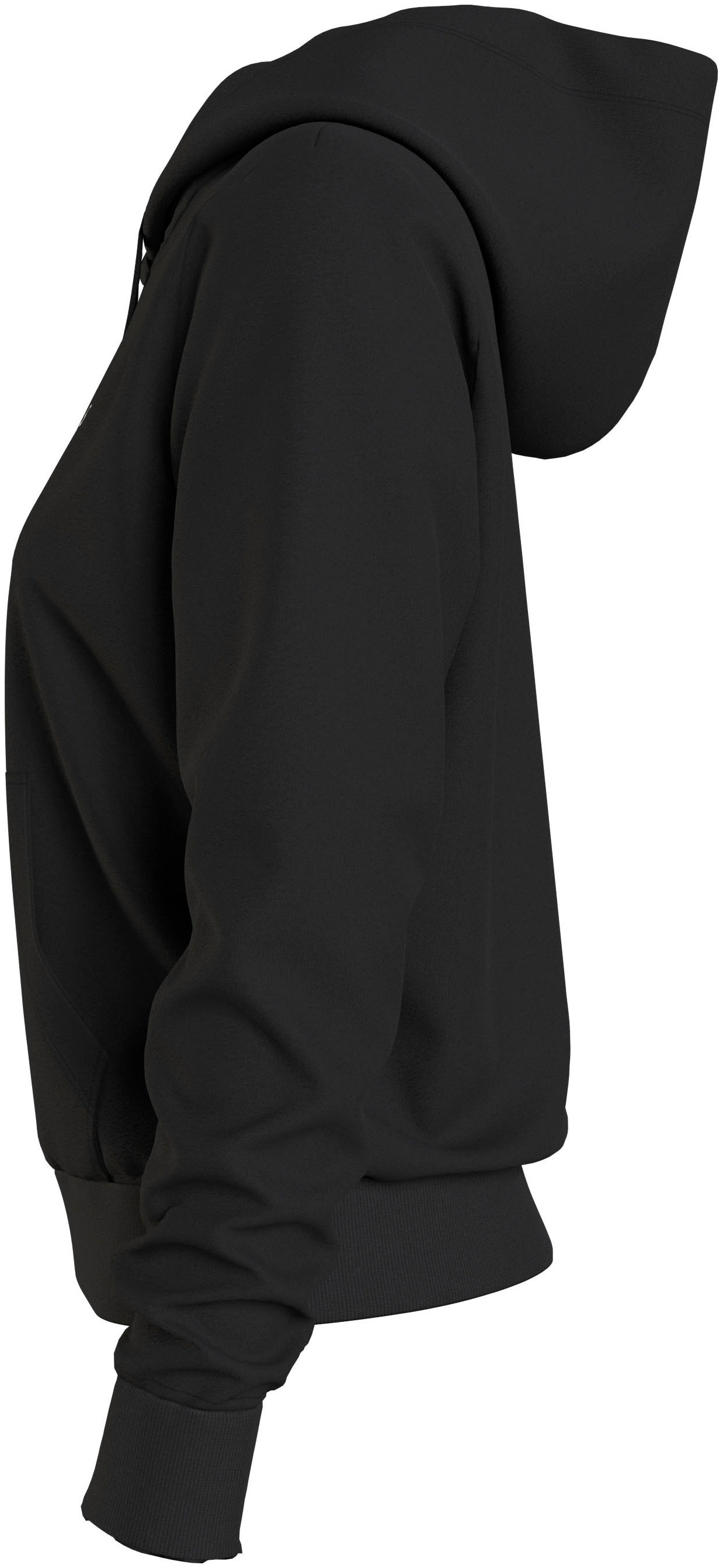 Tommy Jeans Kapuzensweatshirt »TJW REG LINEAR HOODIE«, mit Logoschriftzug