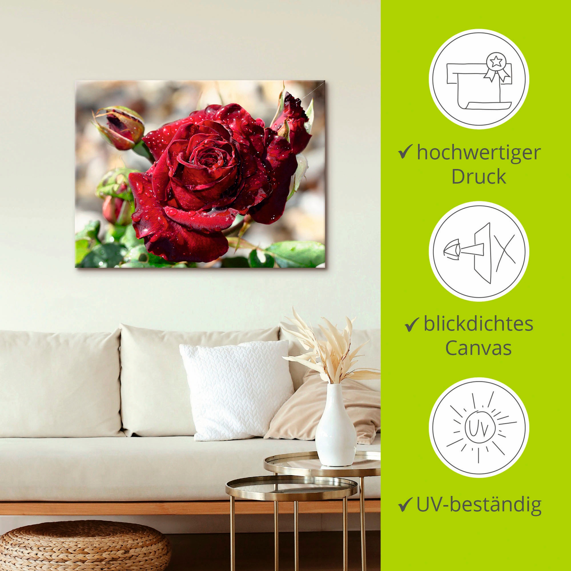 Artland Wandbild »Tröpfchenrose«, Blumen, (1 St.), als Leinwandbild, Poster, Wandaufkleber in verschied. Größen