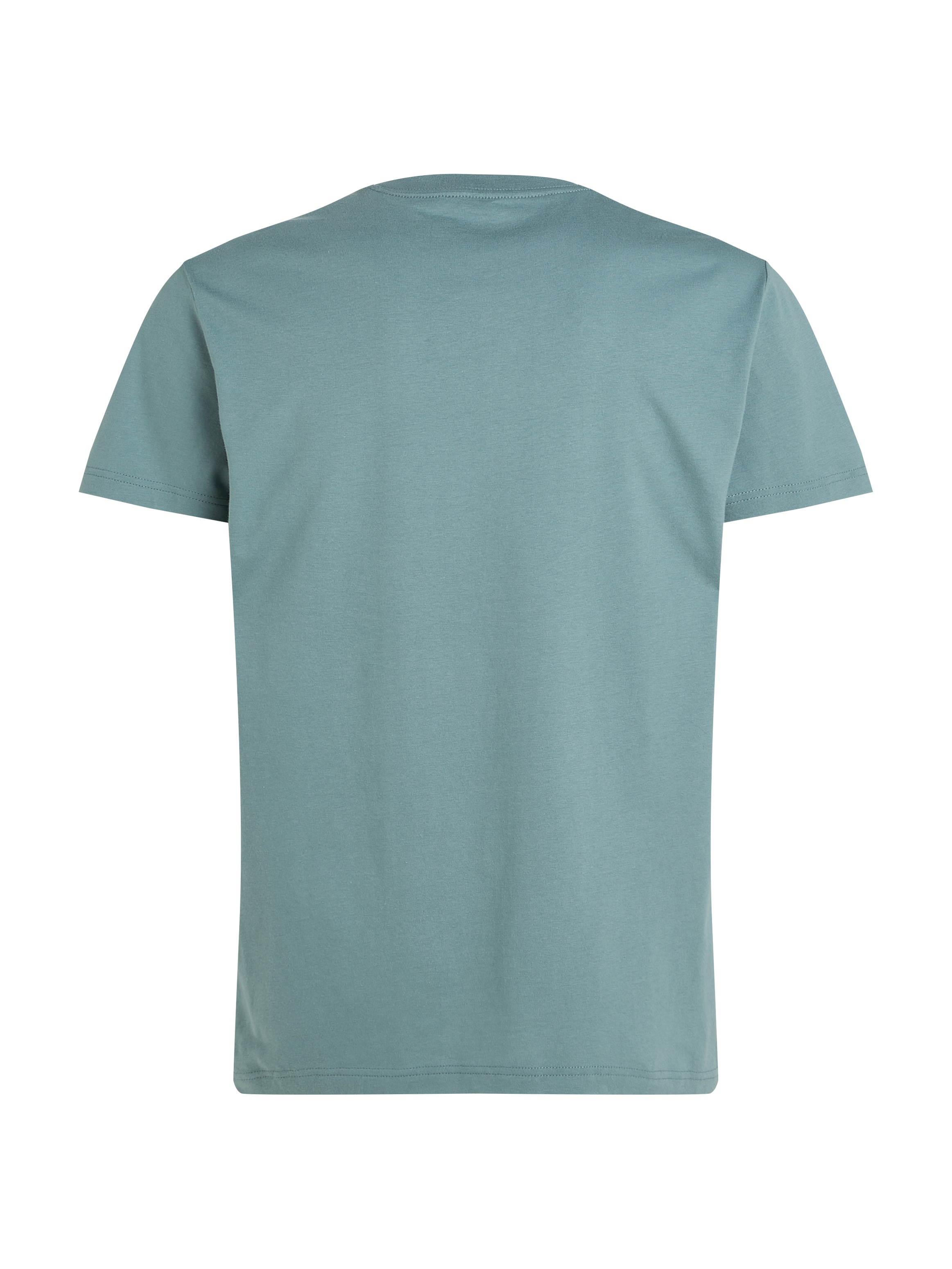 Calvin Klein Jeans T-Shirt »BRUSH STROKE GRAPHIC TEE«, mit Logodruck