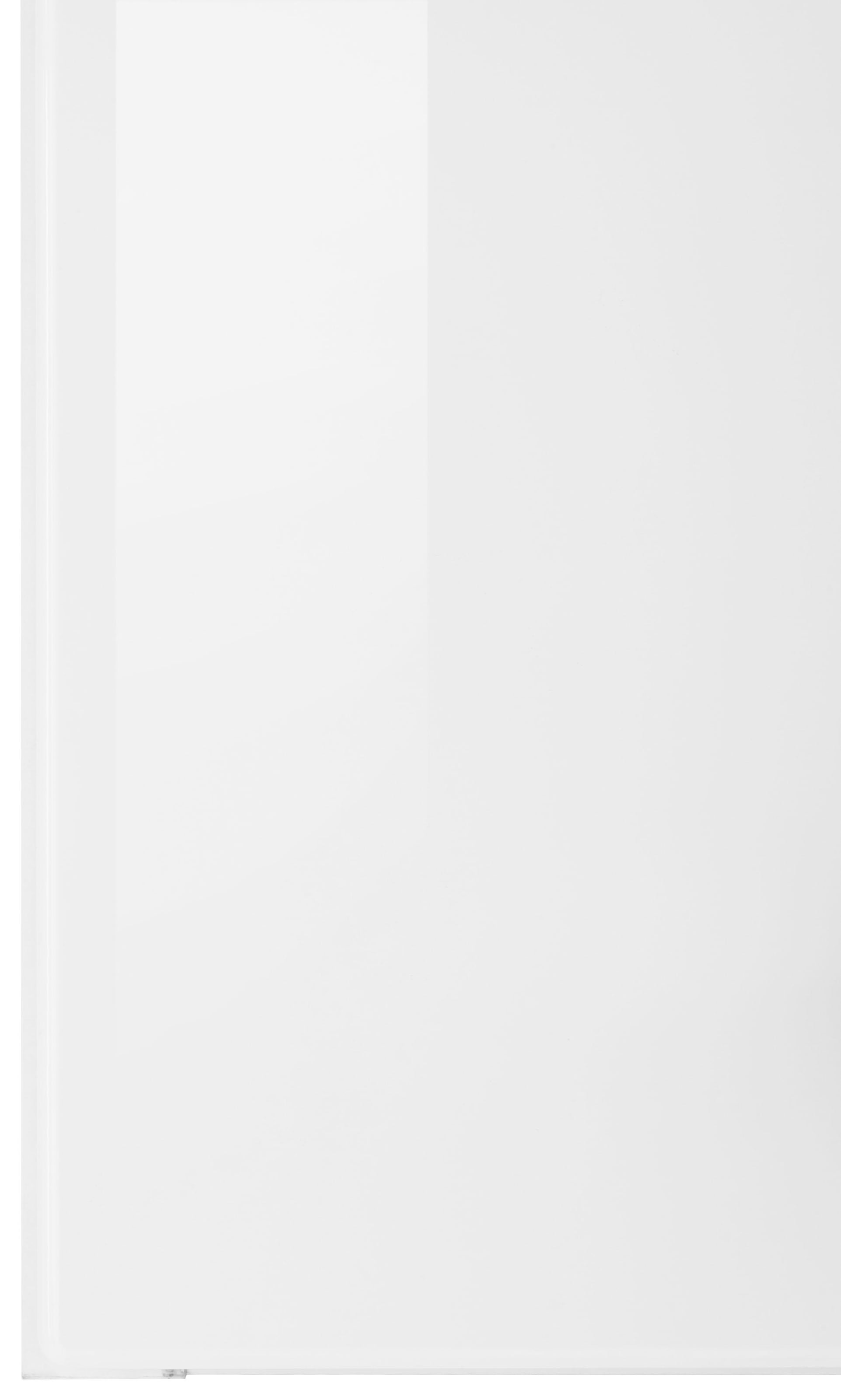 HELD MÖBEL Hängeschrank »Tulsa«, 100 cm breit, 57 cm hoch, 2 Türen, schwarzer Metallgriff, MDF Front