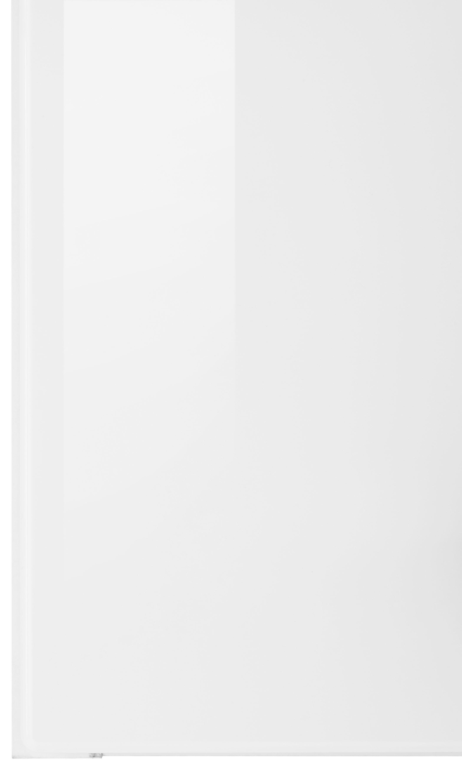 KOCHSTATION Hängeschrank »KS-Tulsa«, 100 cm breit, 57 cm hoch, 2 Türen, schwarzer Metallgriff, MDF Front