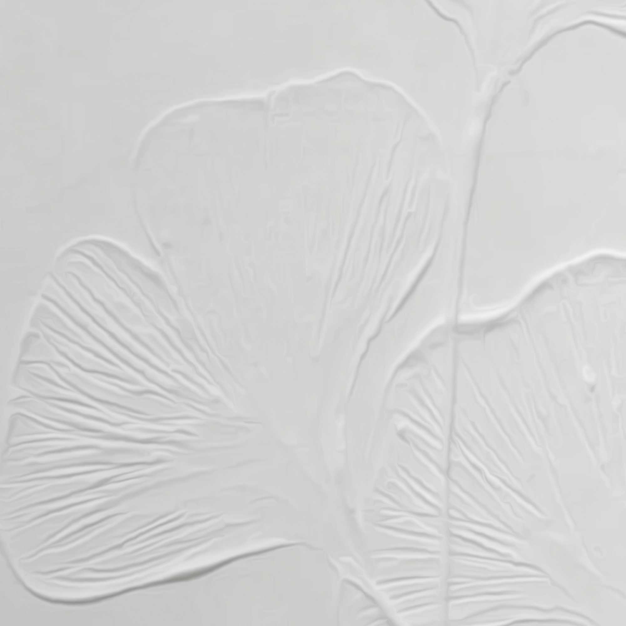 Reinders! Wandbild »Ginkgo-Blätter« Wohnzimmer - Weiß - MDF - Blumen und Pflanzen - 30x40 cm