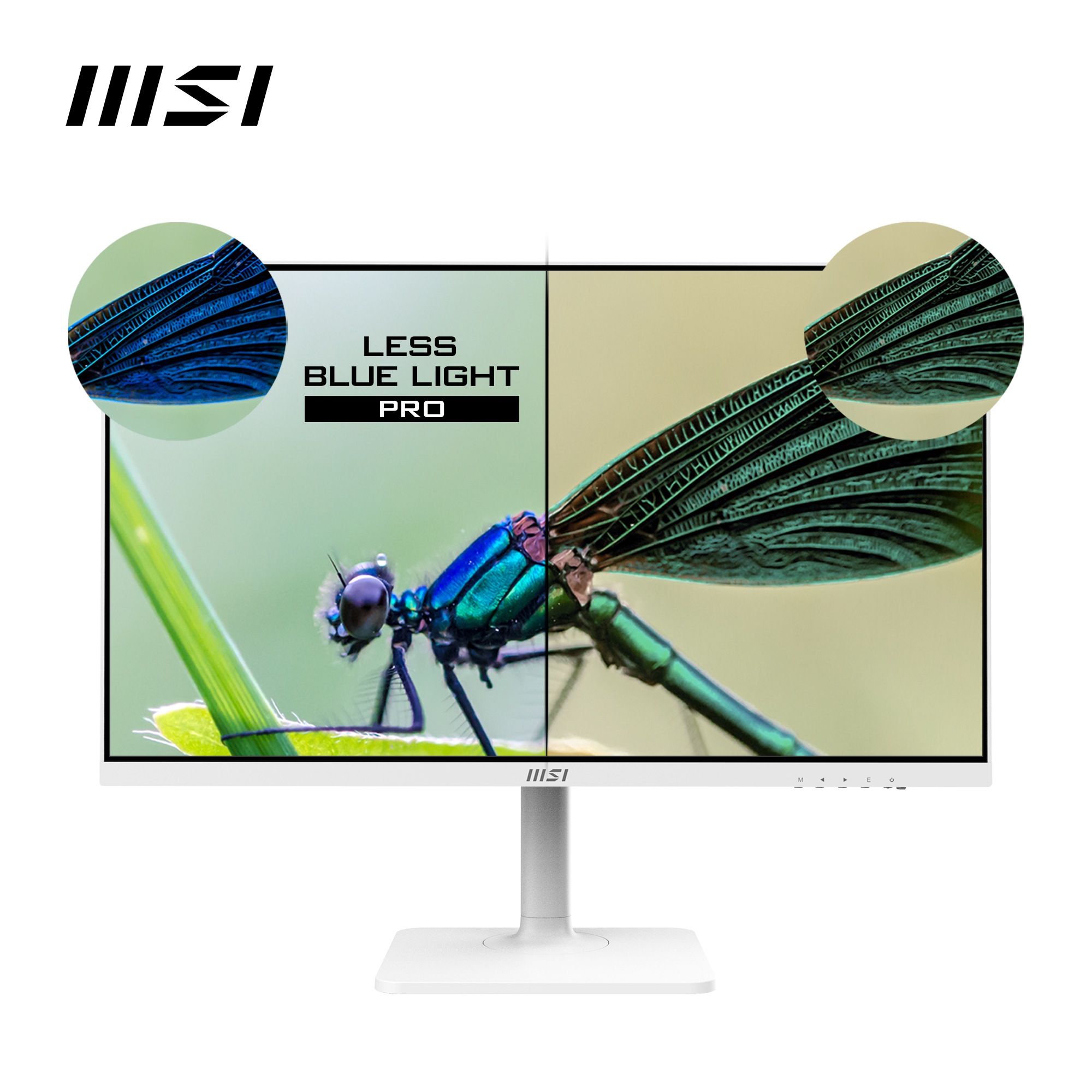 MSI LED-Monitor »Modern MD272QXPW«, 69 cm/27 Zoll, 2560 x 1440 px, WQHD, 1 ms Reaktionszeit, 100 Hz, höhenverstellbar, 3 Jahre Herstellergarantie, USB-C