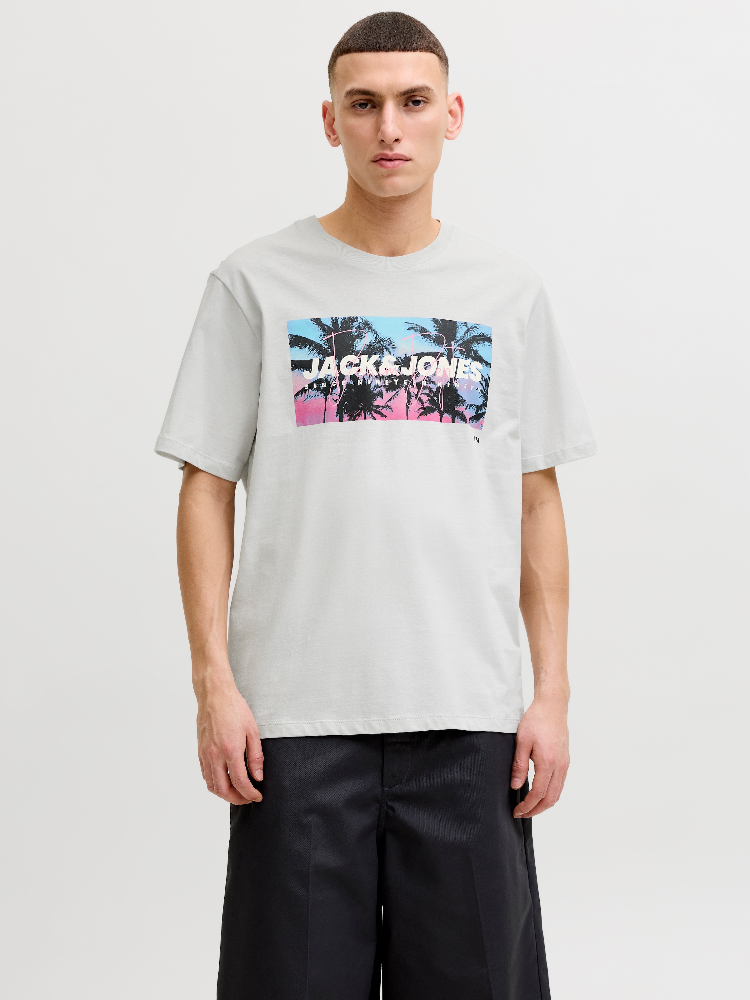Jack & Jones Rundhalsshirt »JJINDIANA TEE SS CREW NECK«
