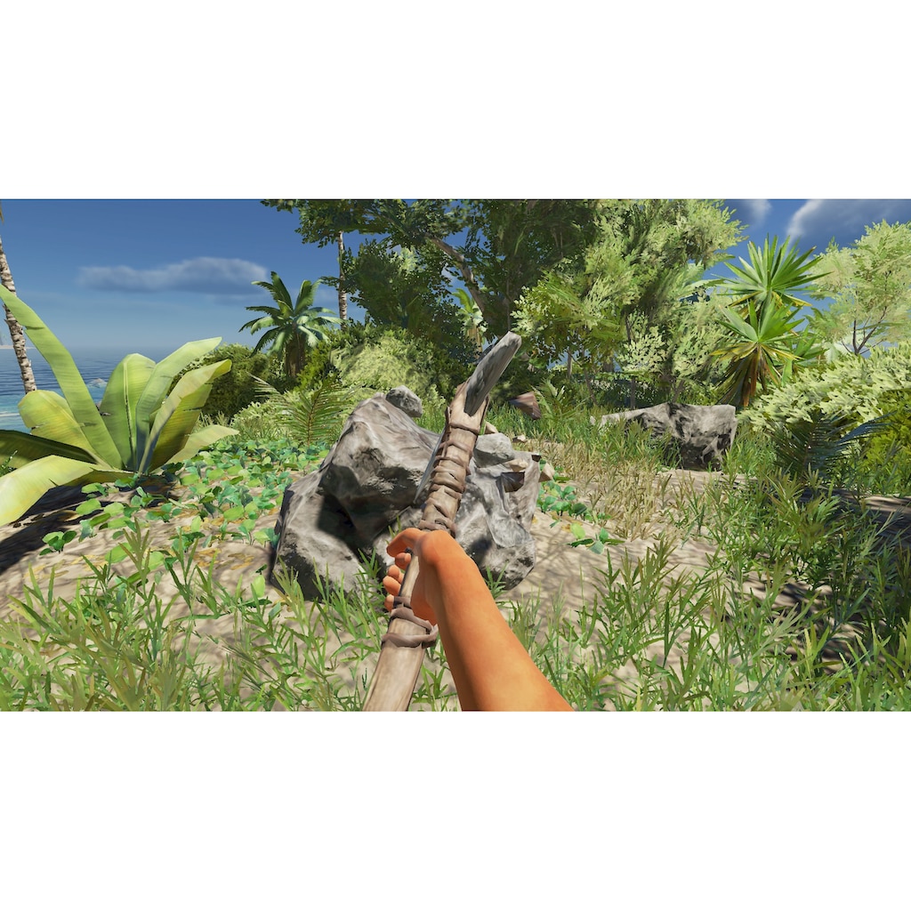 Spielesoftware »Stranded Deep«, Nintendo Switch