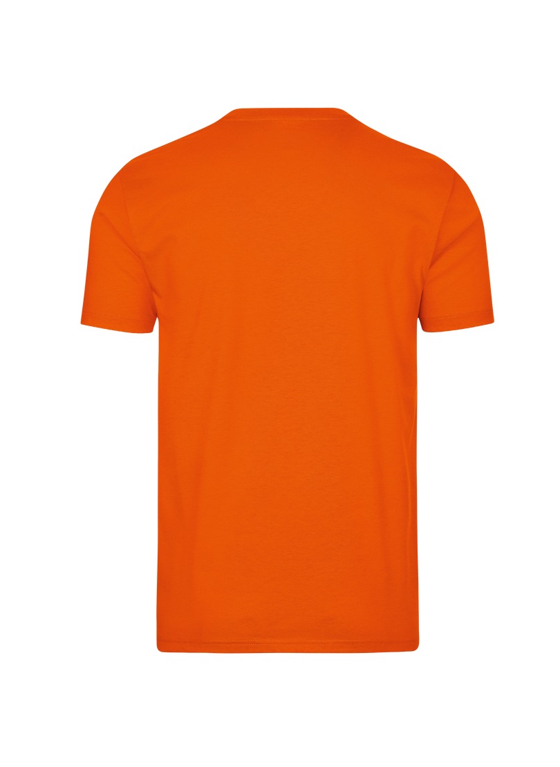 Trigema T-Shirt »TRIGEMA V-Shirt DELUXE online Baumwolle« OTTO bestellen bei
