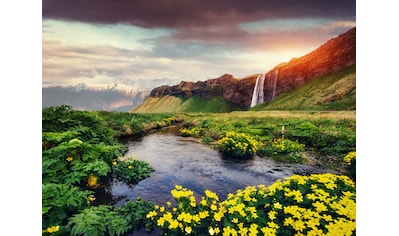 Papermoon Fototapete »Seljalandfoss waterfall Iceland« kaufen