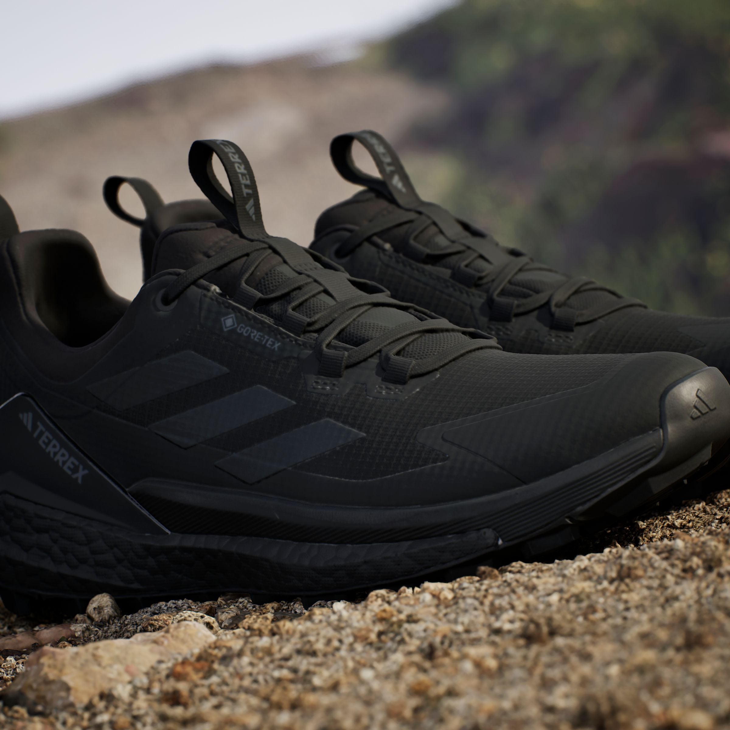 adidas TERREX Wanderschuh »TERREX FREE HIKER 2.0 LOW GORE-TEX«, wasserdicht