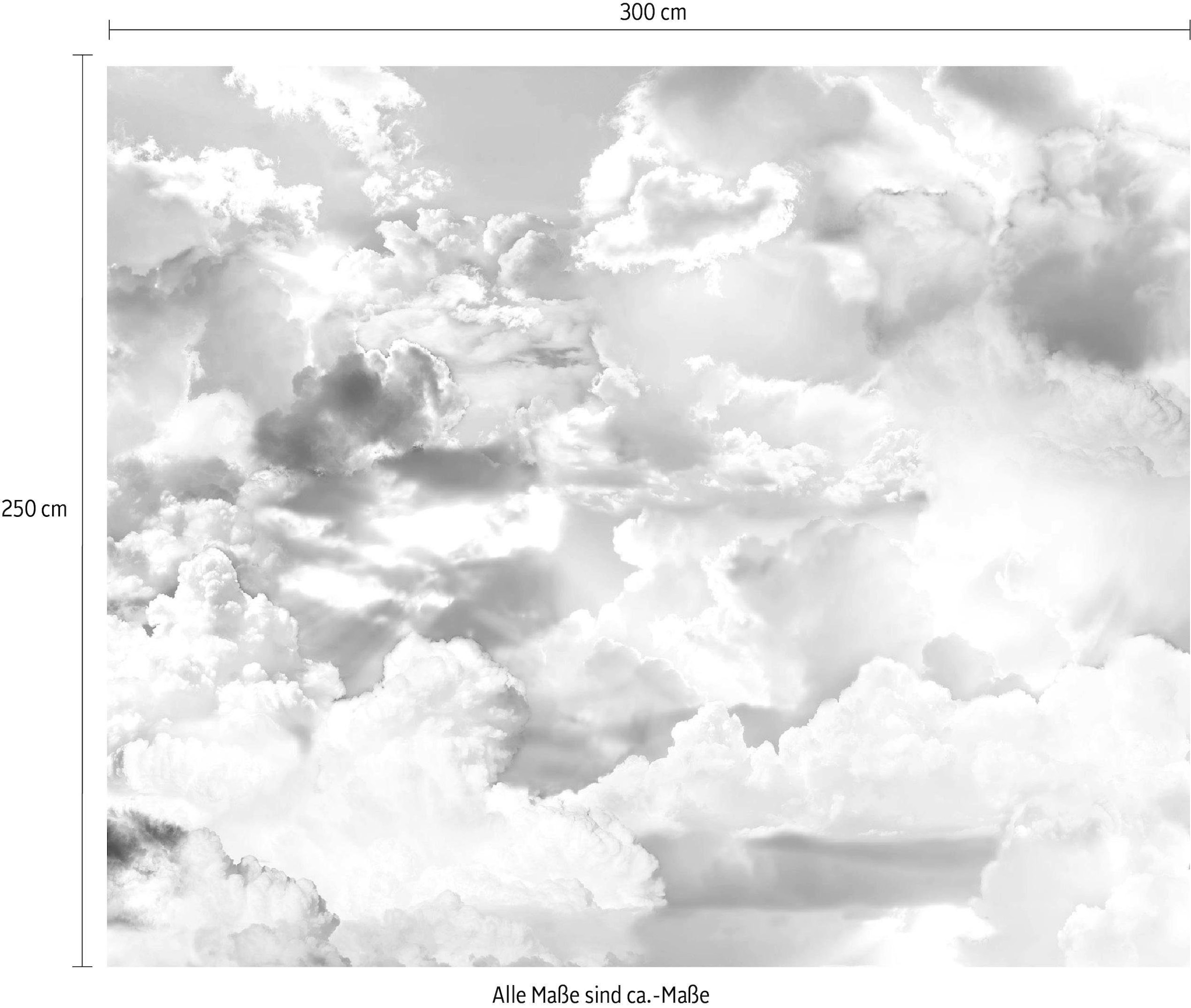 Vliestapete, kaufen Vliestapete x Komar 300x250 bei 100 Höhe), cm (Breite »Clouds«, OTTO cm online Bahnbreite