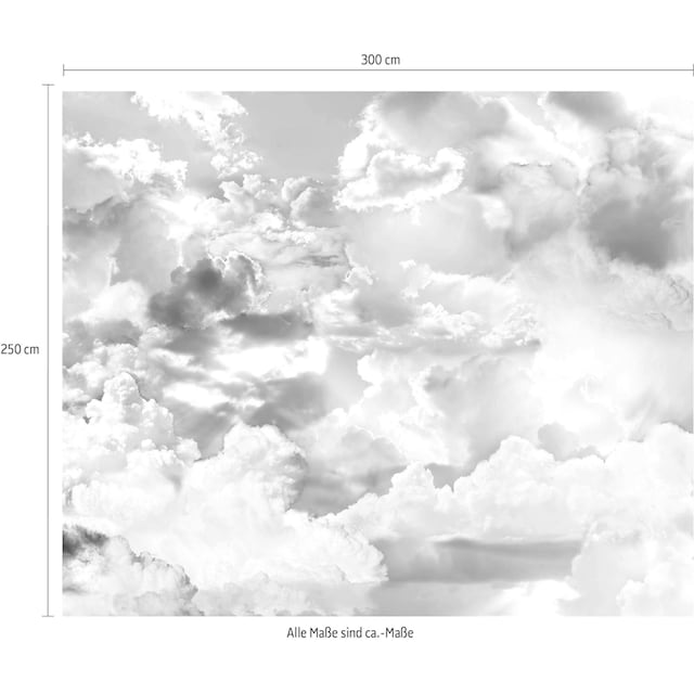 Komar Vliestapete »Clouds«, 300x250 cm (Breite x Höhe), Vliestapete, 100 cm  Bahnbreite online kaufen bei OTTO