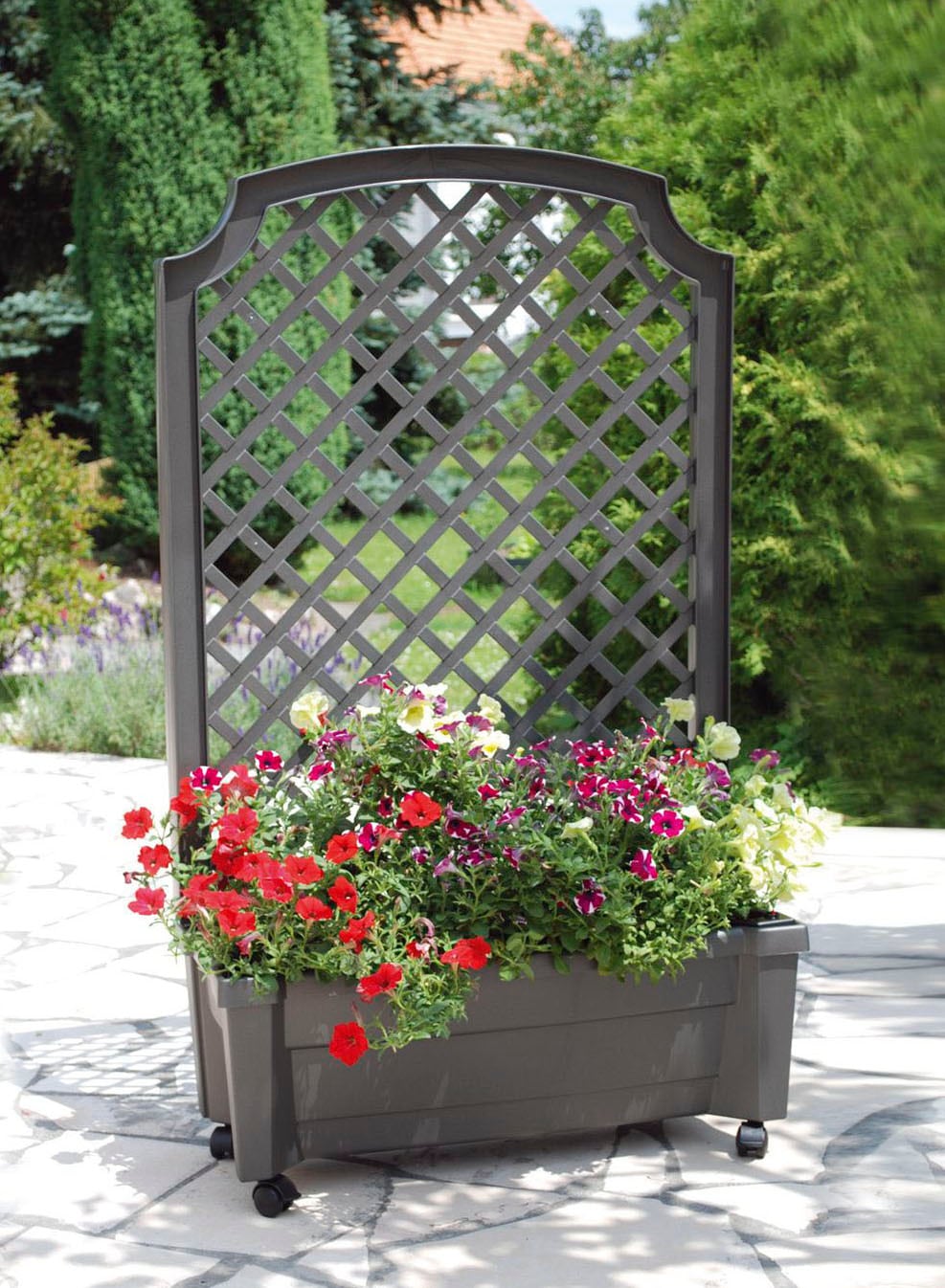 KHW Spalier, Pflanzkasten auf Rollen mit Bewässerungssystem, BxTxH: 79x35x134 cm