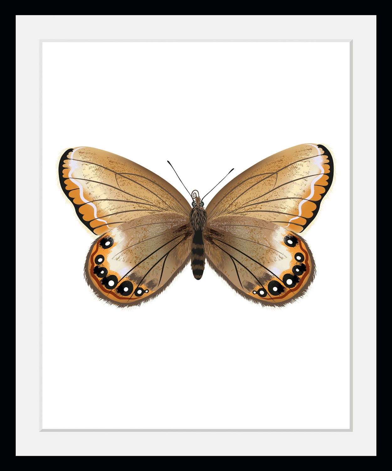 queence Bild »Lexy«, Schmetterlinge, (1 St.)