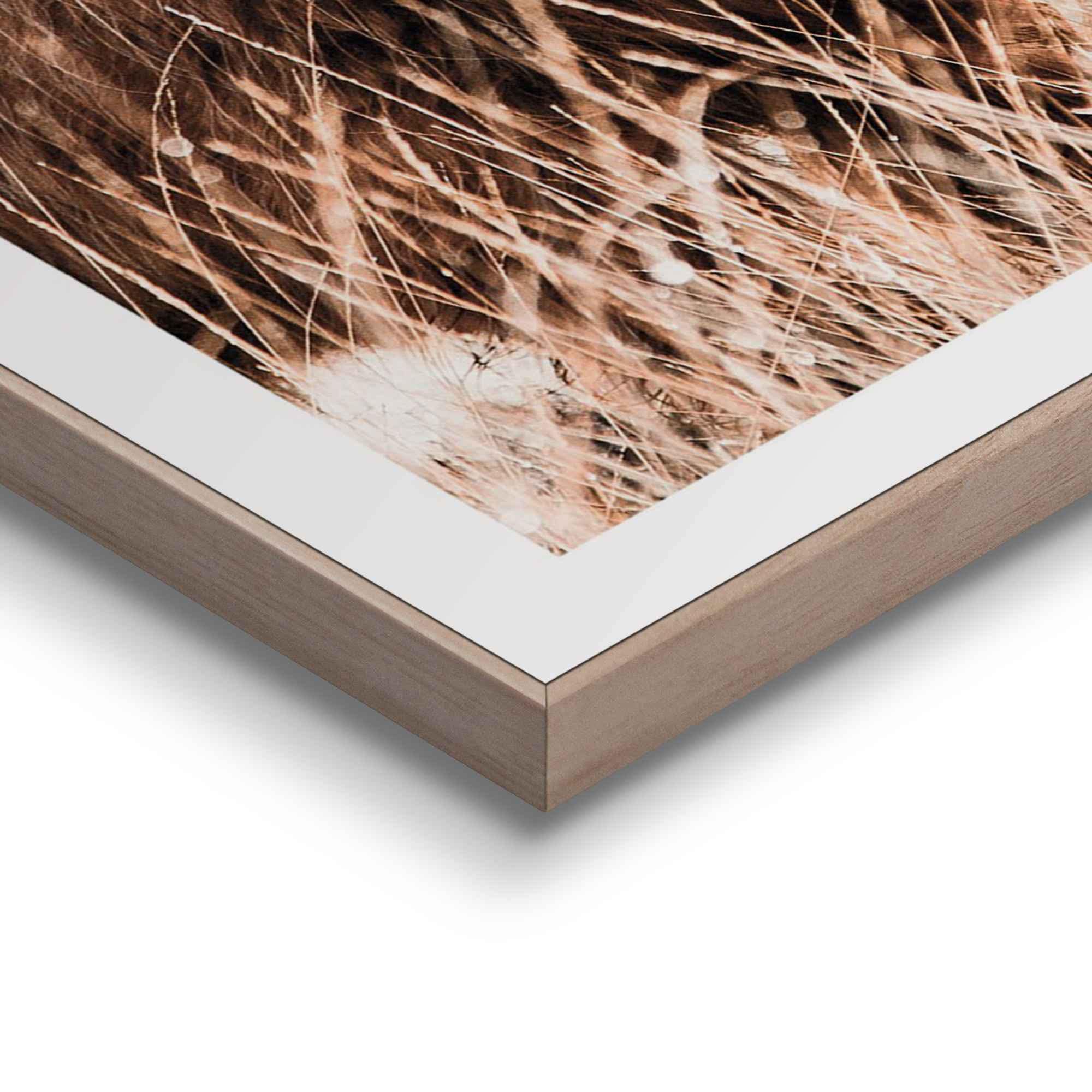 Reinders! Wandbild »Freie Natur Highlander - Kuh - Heide - Strand - Ruhe«, (2 St.)