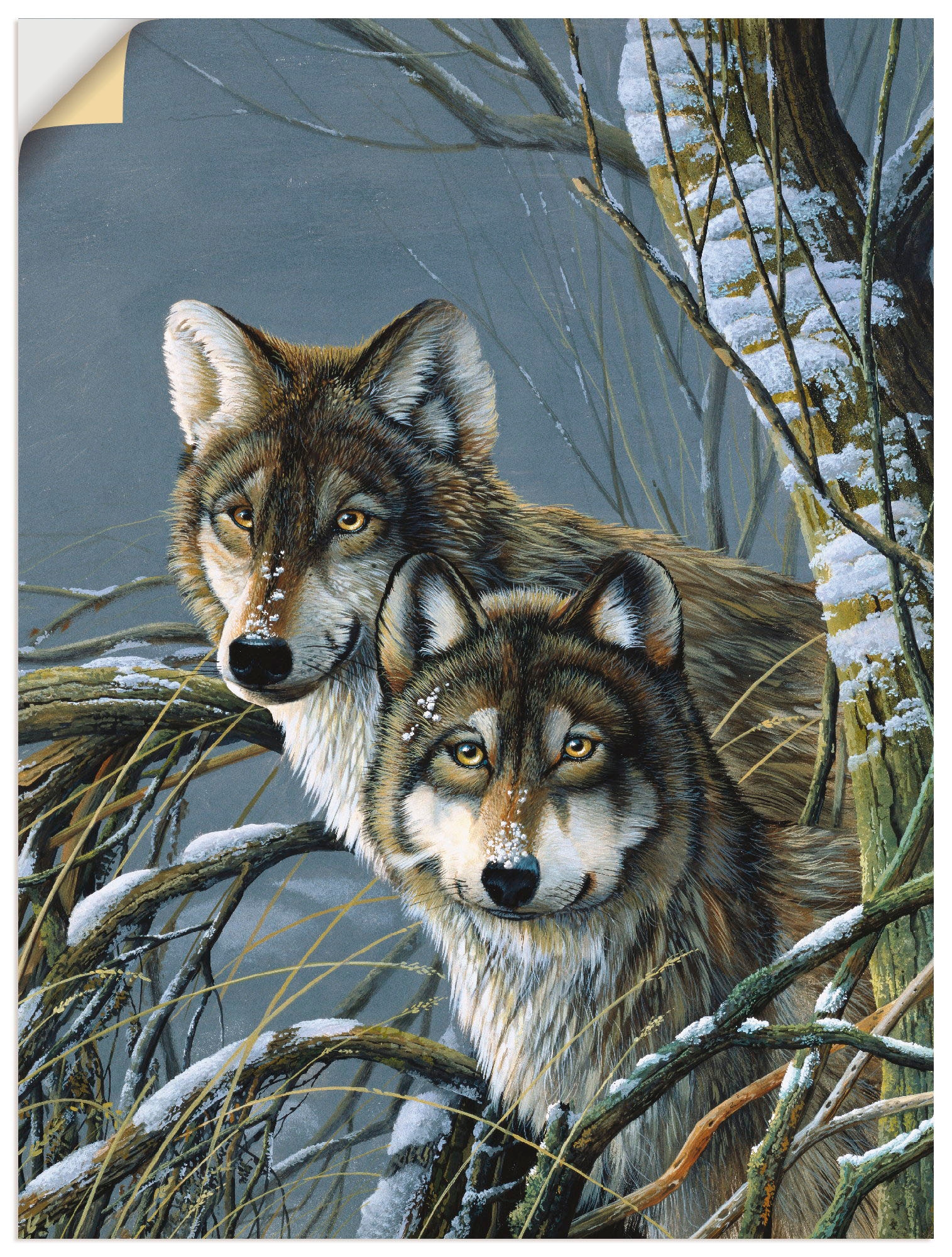 versch. Wandbild Wandaufkleber »Zwei St.), Artland Shop Online OTTO bestellen Wölfe«, als in Größen (1 Wildtiere, Leinwandbild, Poster im oder