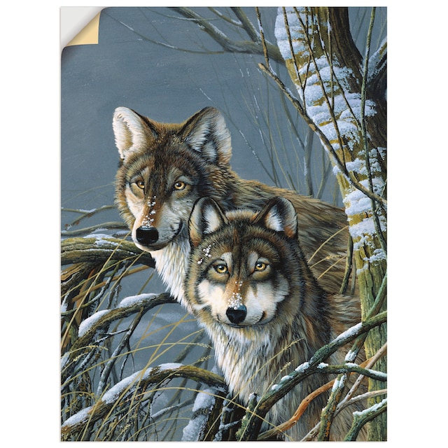 Artland Wandbild »Zwei Wölfe«, Wildtiere, (1 St.), als Leinwandbild,  Wandaufkleber oder Poster in versch. Größen bestellen im OTTO Online Shop
