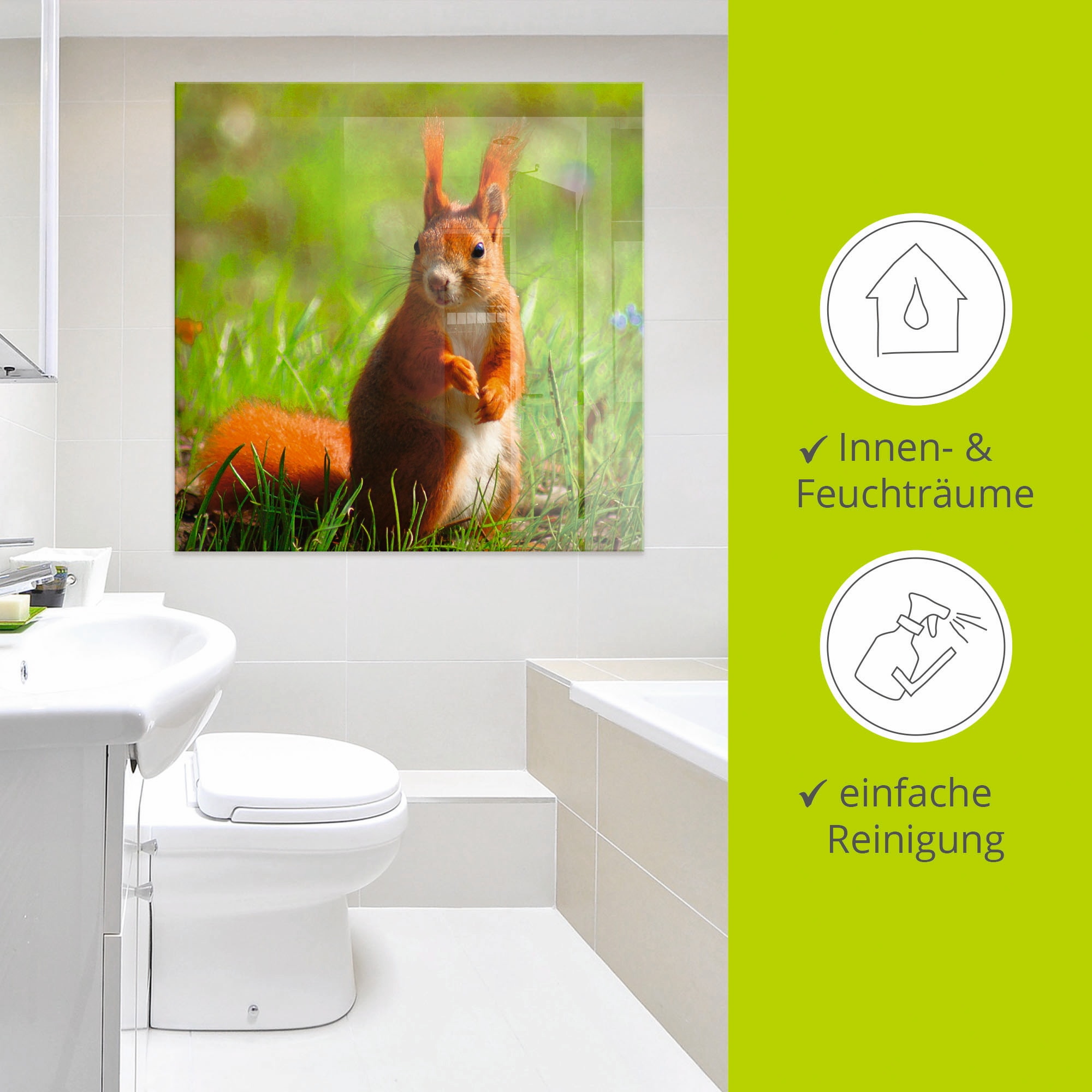 Artland Glasbild »Eichhörnchen Kontakt«, Wildtiere, (1 St.), in verschiedenen Größen