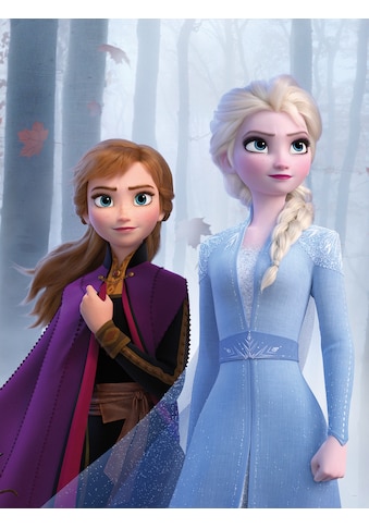 Poster »Frozen Sisters in the Wood«, Disney, (1 St.), Kinderzimmer, Schlafzimmer,...