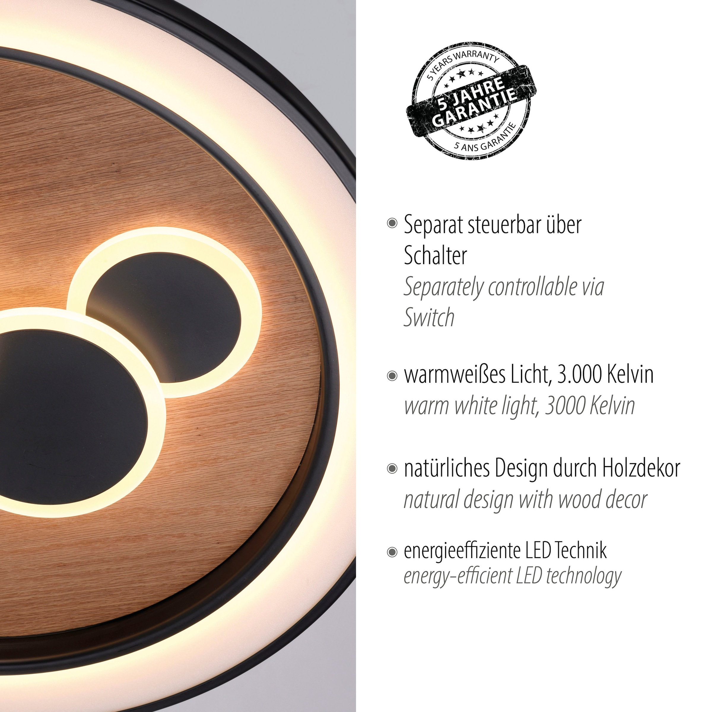 Paul Neuhaus Deckenleuchte »ELIZA«, 2 flammig, Leuchtmittel LED-Board-LED-Board | LED fest integriert-LED fest integriert, LED, separat steuerbar (Schalter)