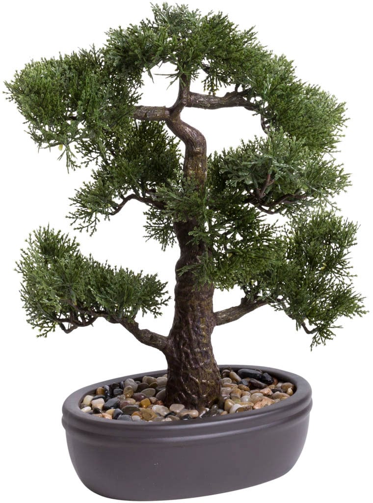 Kunstbonsai »Ceder Bonsai«