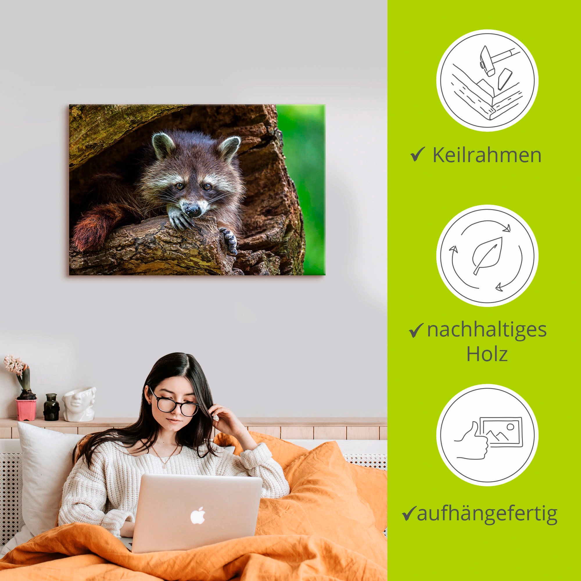 Artland Leinwandbild »Waschbär«, Wildtiere, (1 St.), auf Keilrahmen gespannt