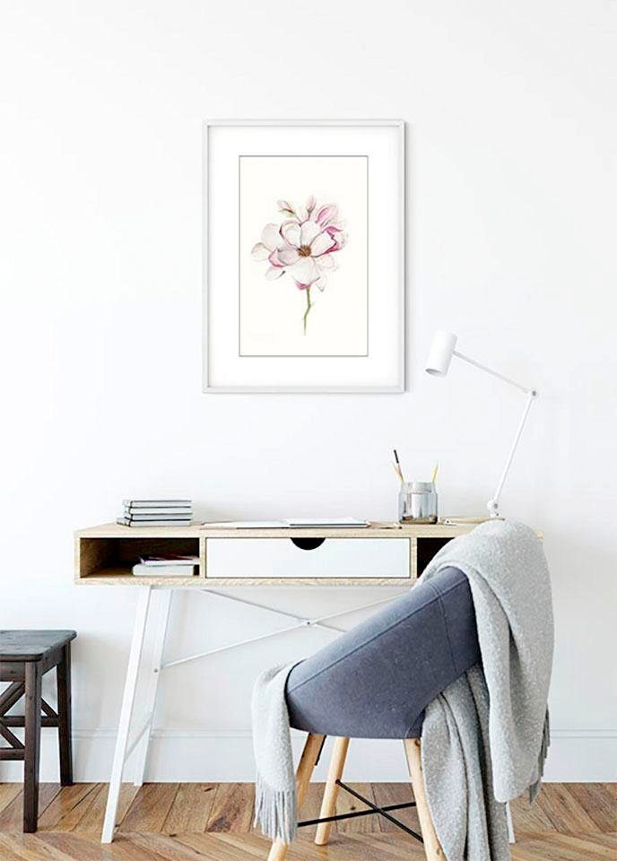 Komar Bild »Magnolia Blossom«, Blumen, (1 St.), Wandbild zur Dekoration - ohne Rahmen