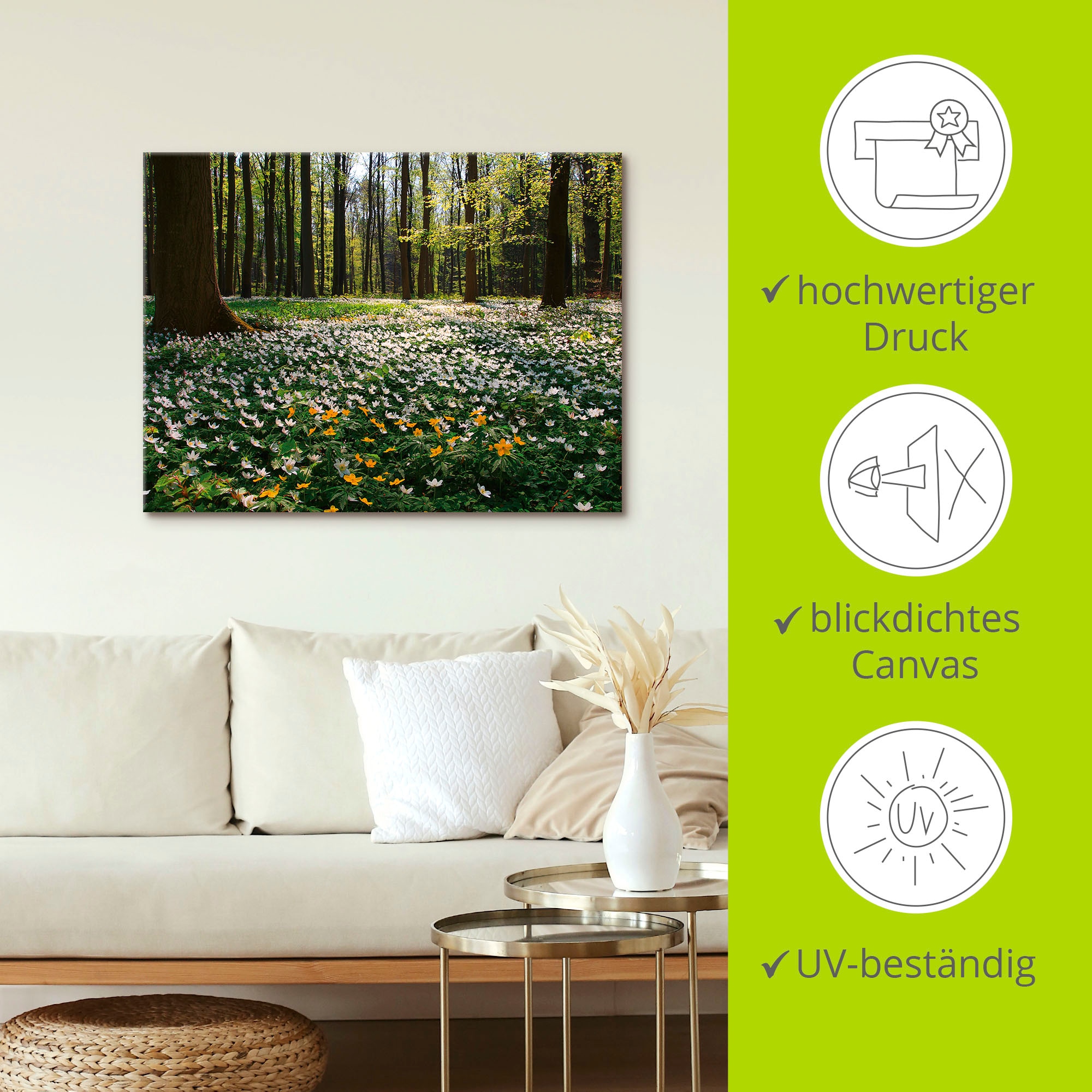 Artland Wandbild »Frühlingswald bedeckt mit Windröschen«, Wald, (1 St.), als Leinwandbild, Poster in verschied. Größen