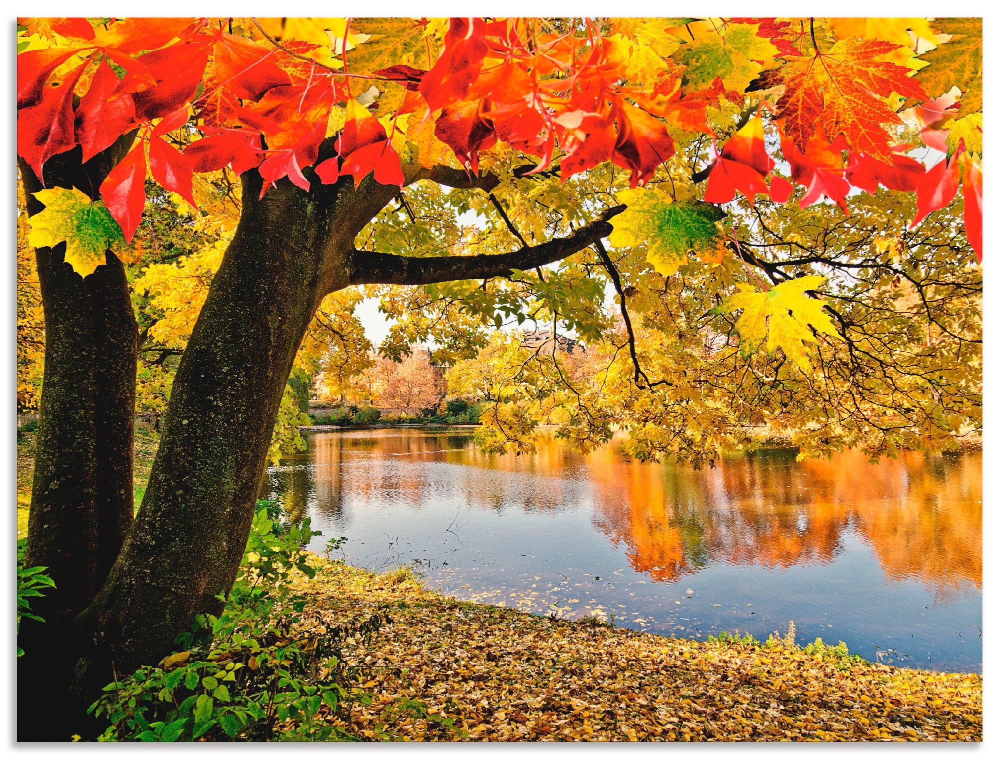 Wandbild »Herbsttag an einem ruhigen See«, Gewässer, (1 St.), als Alubild,...