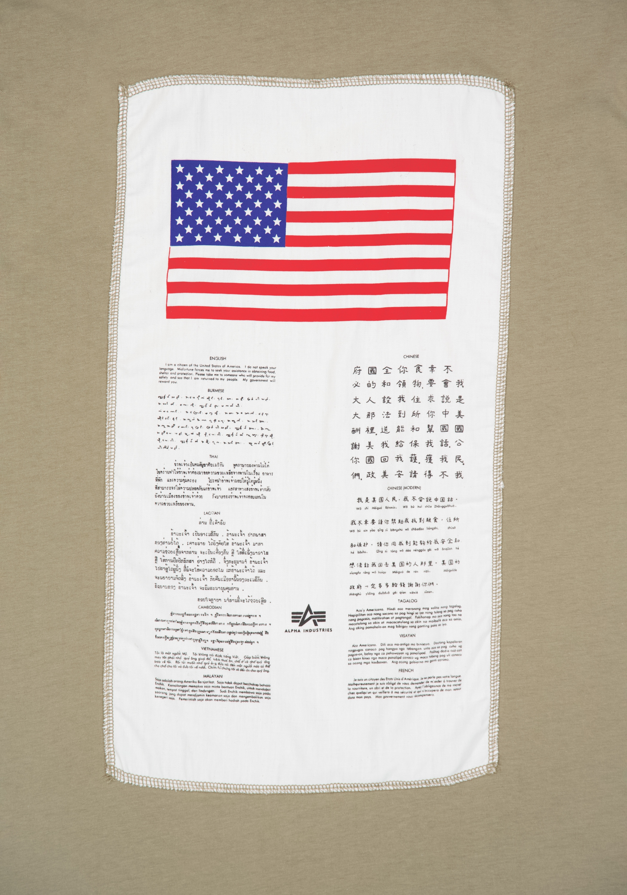 Alpha Industries T-Shirt »Alpha Industries Men - T-Shirts Blood Chit T-Shirt«