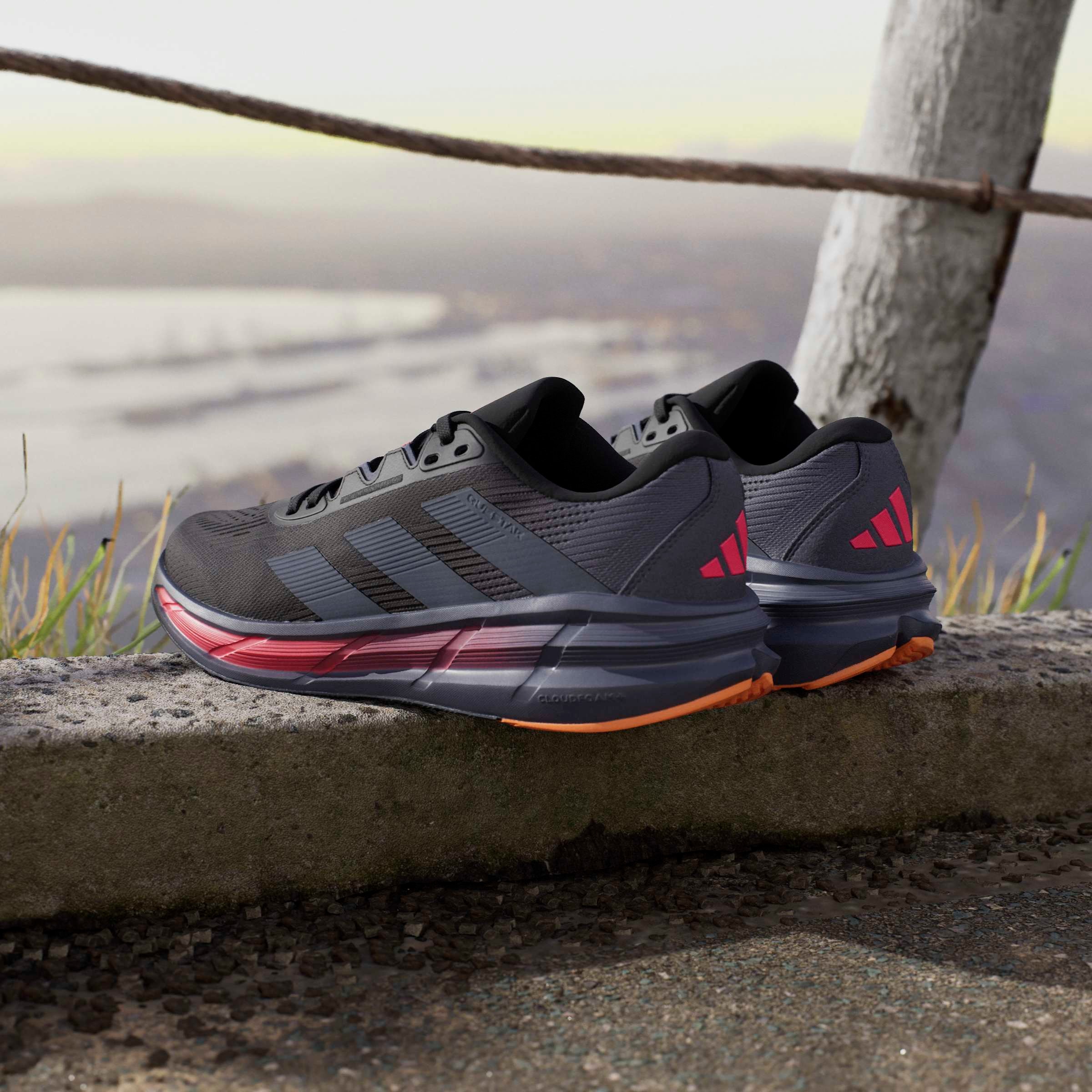 adidas Performance Laufschuh »QUESTAR 3 M«
