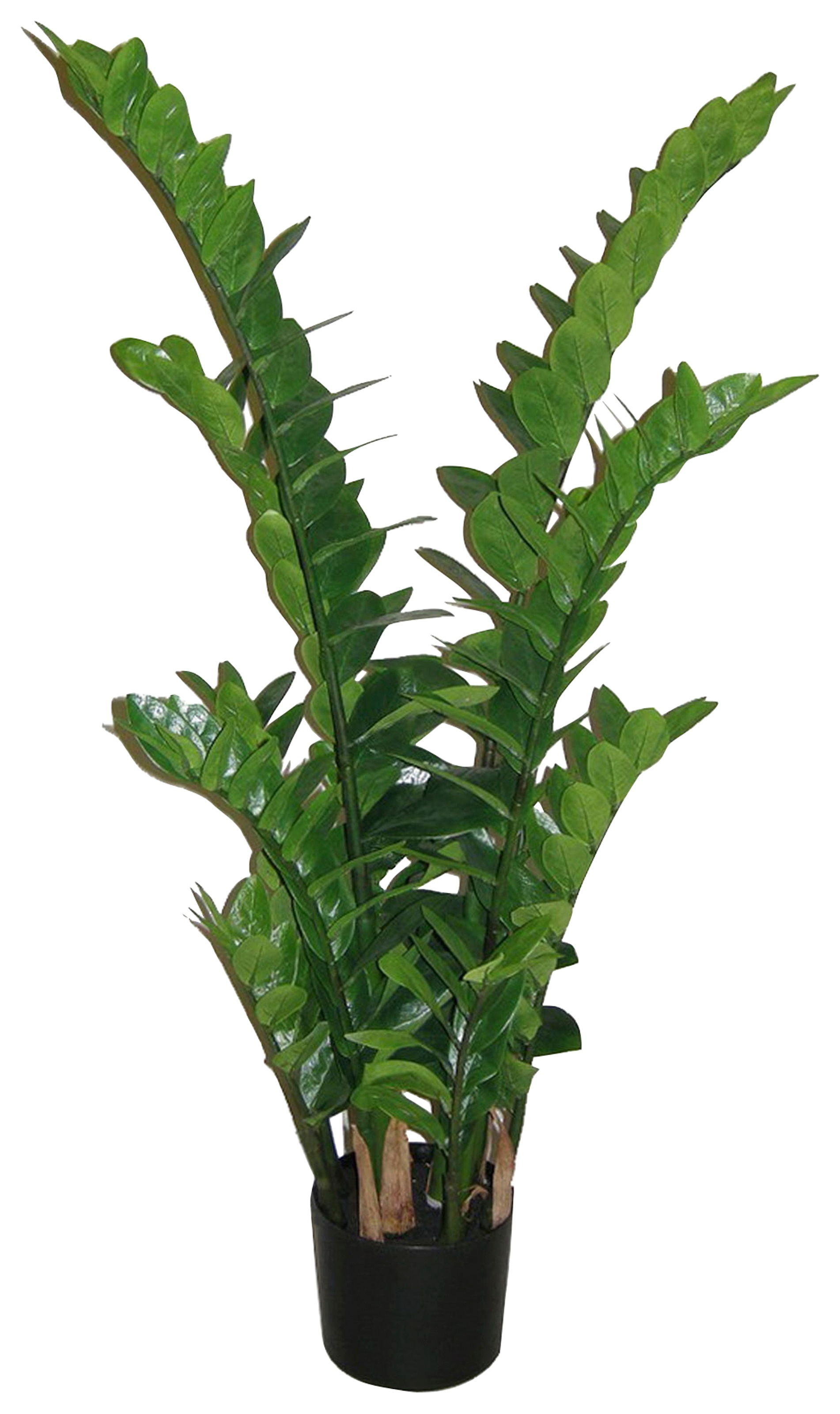 Creativ green Kunstpflanze »Zamifolia«