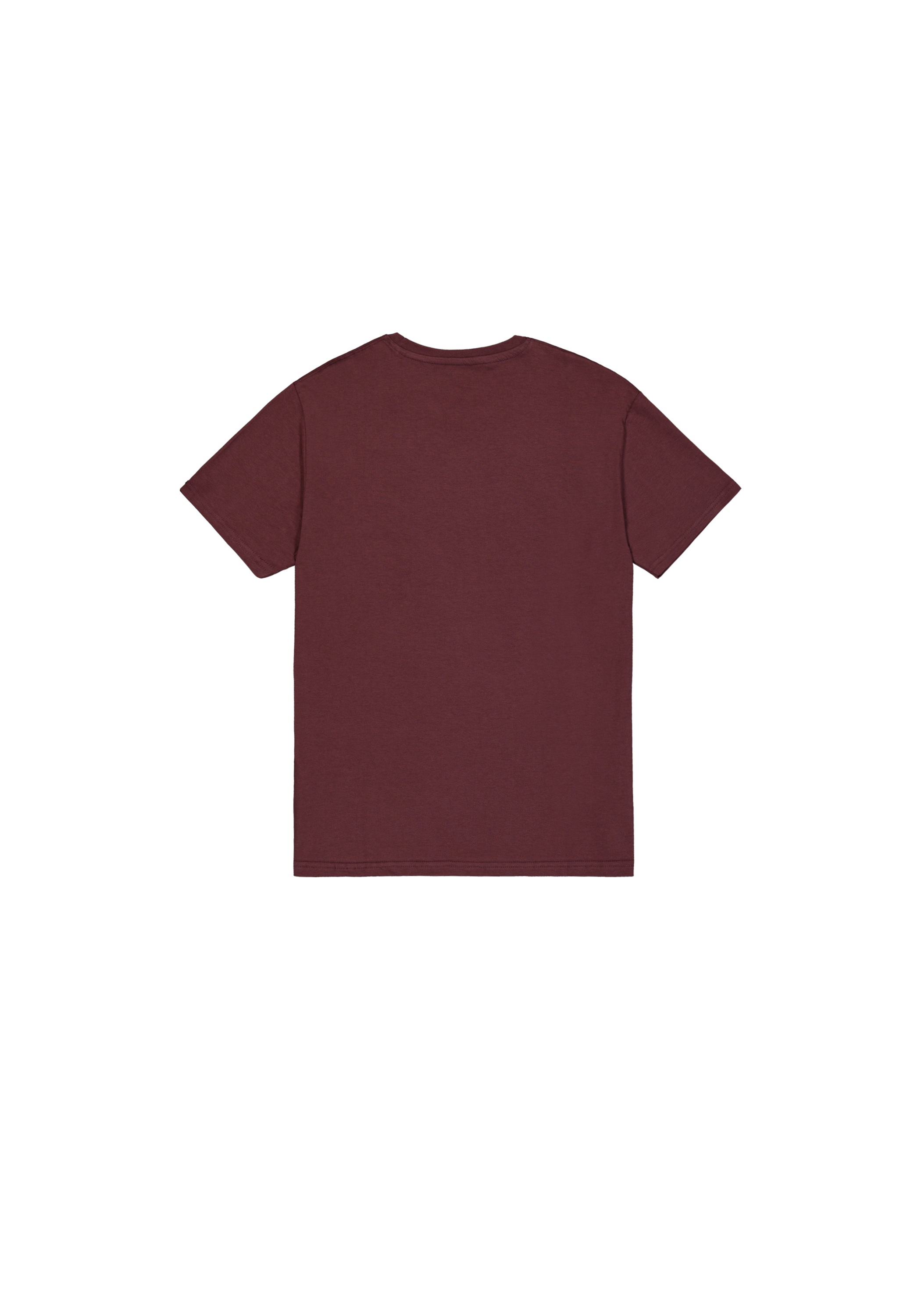 Alpha Industries T-Shirt »Basic T-Shirt BL T-Shirt«