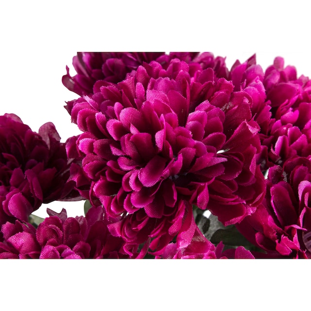 Botanic-Haus Kunstblume »Chrysanthemenstrauß«, (Set, 2 St.) bestellen  online bei OTTO