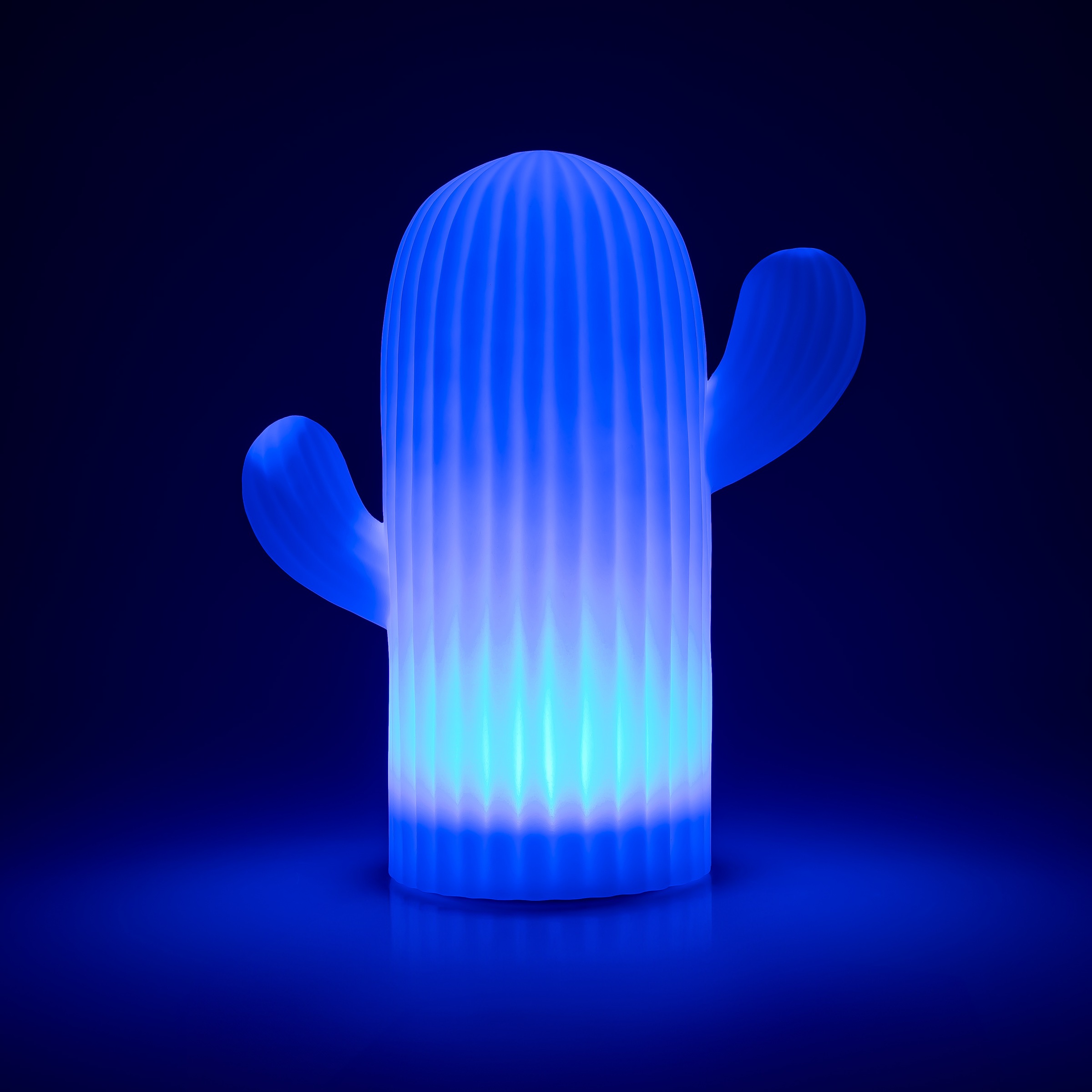 my home LED Solarleuchte »Elowyn, LED-Solar Kaktus« LED-Modul 1 Stk. RGB | Warmweiß mit Erdspieß und Fernbedienung