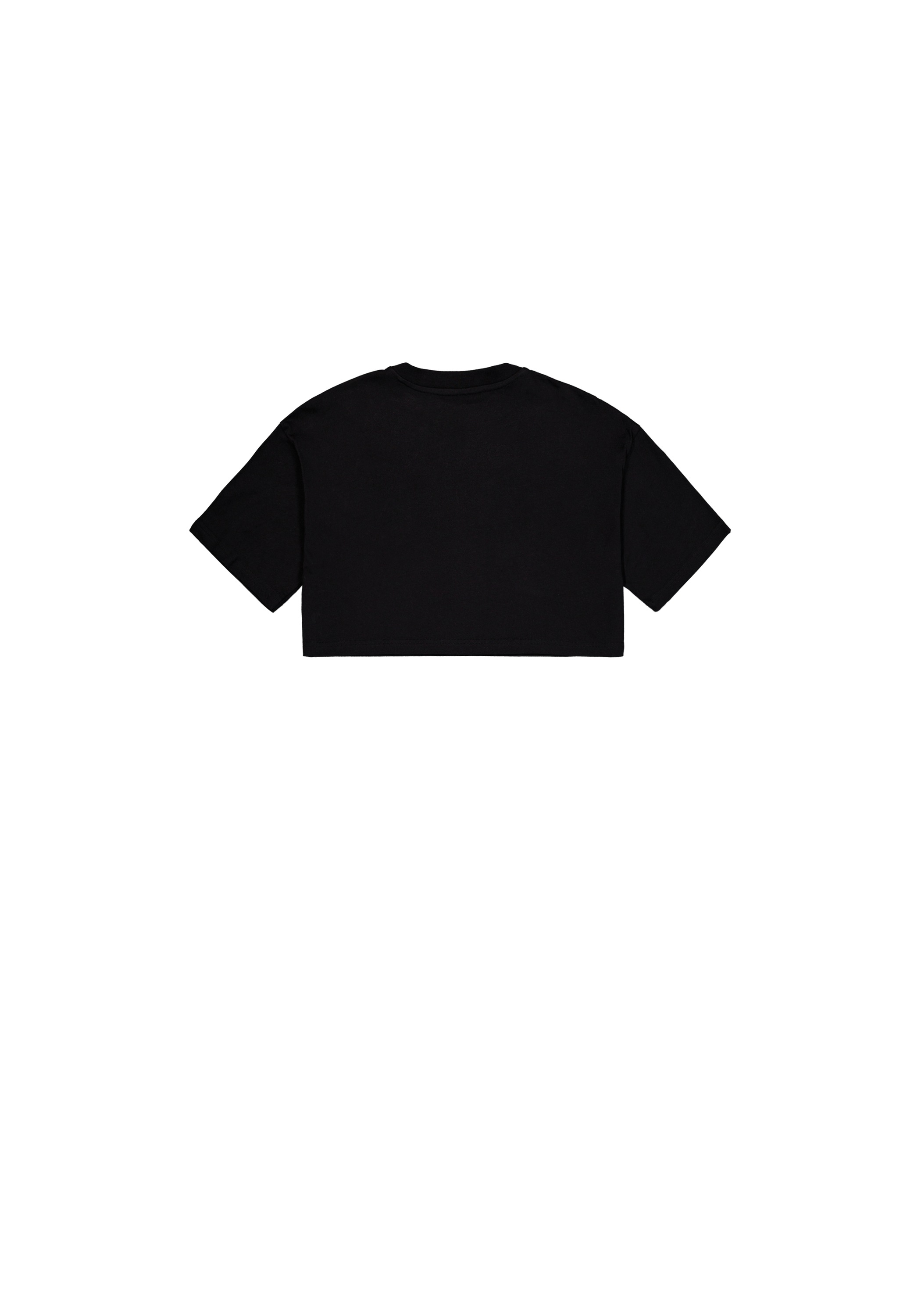 Alpha Industries T-Shirt »Basic T-Shirt SL Cropped PP W«