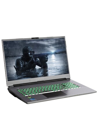 CAPTIVA Gaming-Notebook »Advanced Gaming R66-736«, (43,9 cm/17,3 Zoll), AMD, Ryzen 5,... kaufen