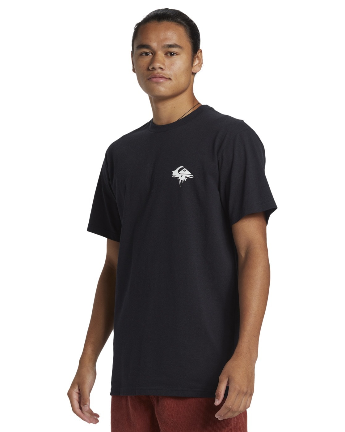 Quiksilver T-Shirt »QS Thorn Logo DNA«