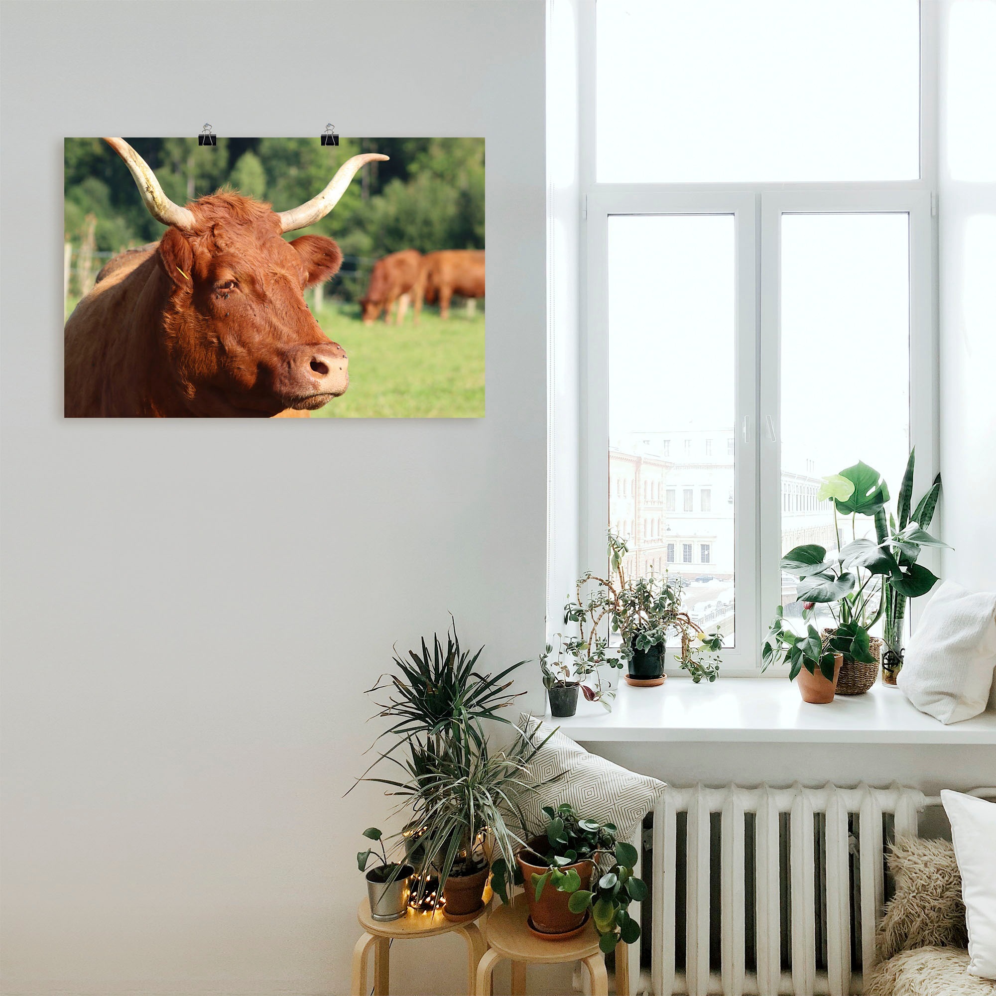 Artland Wandbild »Schau mir in die Augen«, Kuhbilder, (1 St.), als Alubild, Leinwandbild, Wandaufkleber oder Poster in versch. Größen