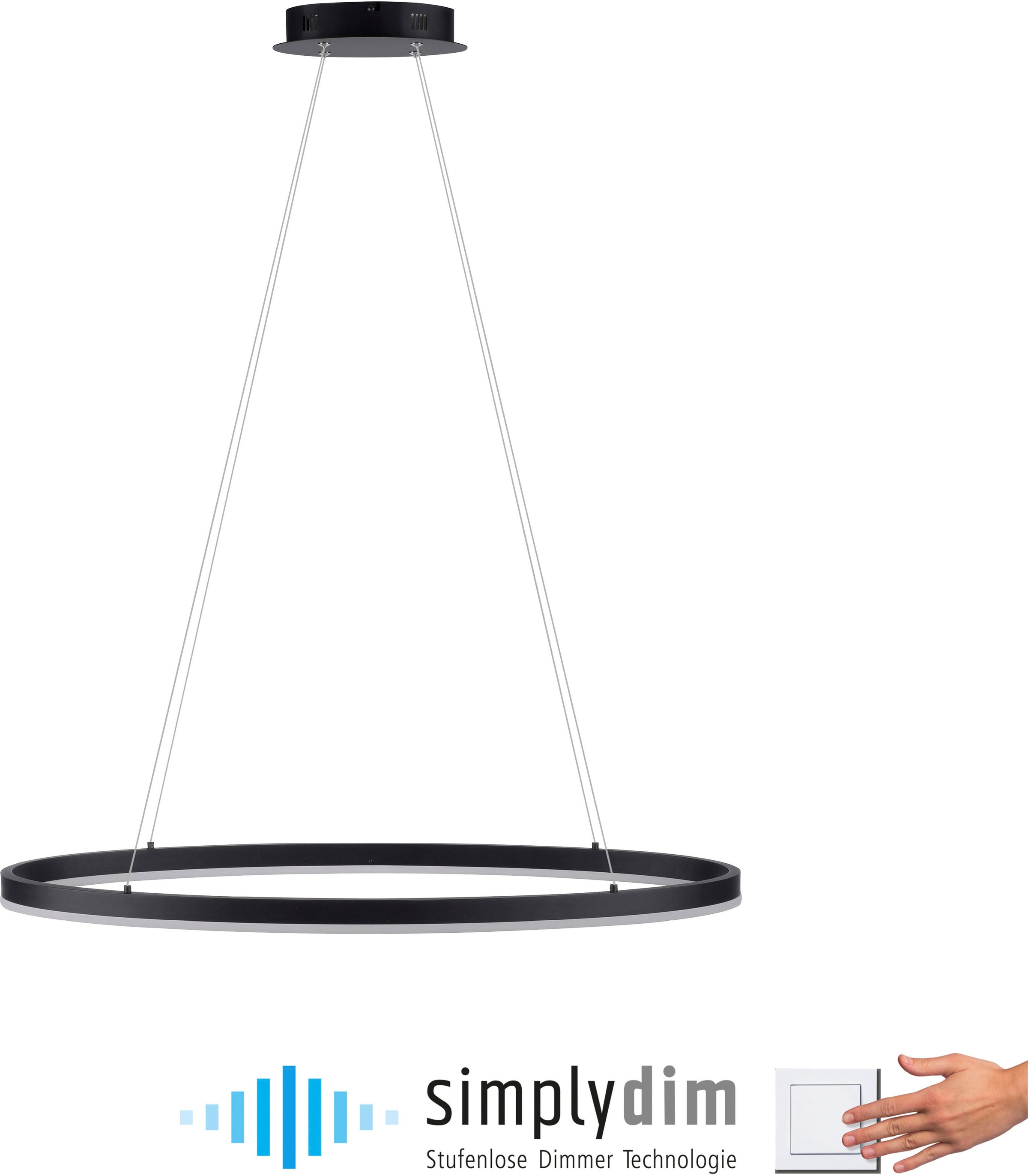 Paul Neuhaus Pendelleuchte »TITUS«, 1 flammig, Leuchtmittel LED-Board | LED fest integriert, LED, dimmbar, Simply Dim, Memory, nach Trennung vom Netz