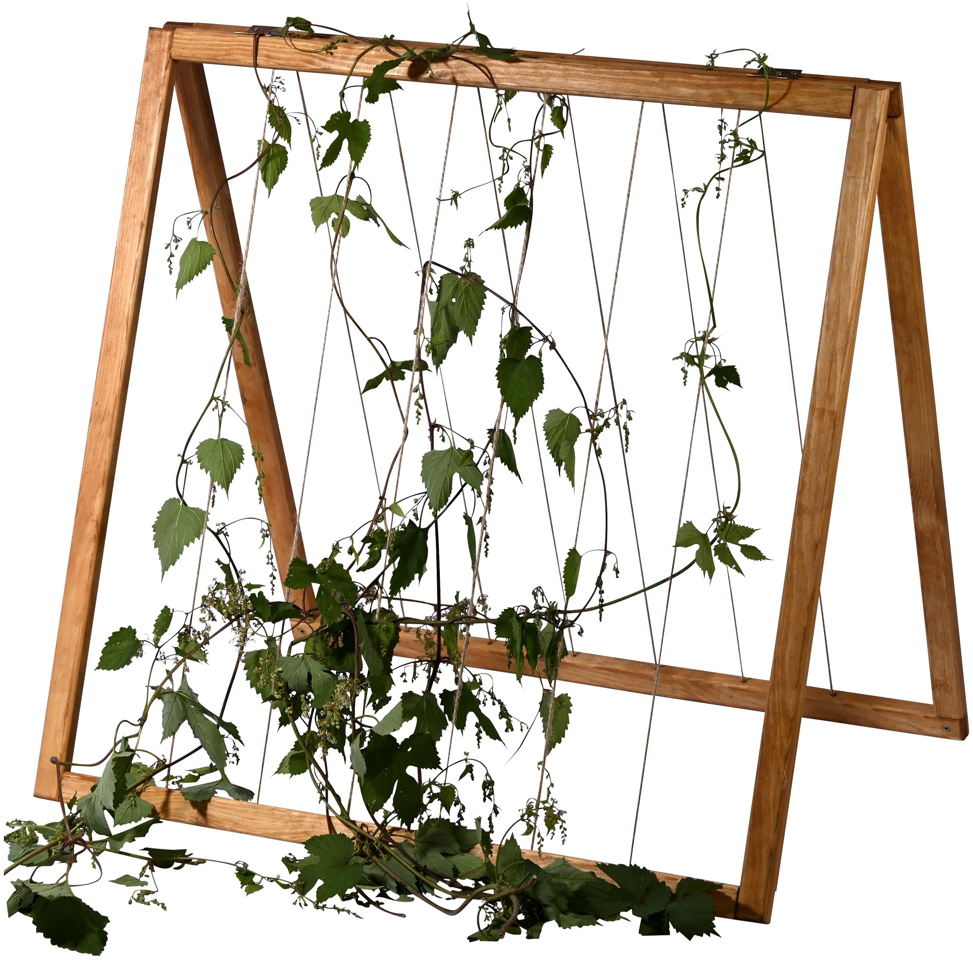 dobar Rankhilfe »Rankhilfenaufsatz Kubus 2.0 mit Jutesträngen, Hellbraun« 78 x 58 x 78 cm (L x B x H)