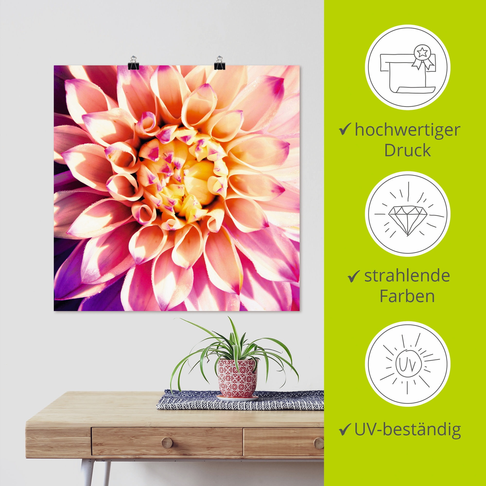 Artland Wandbild »Dahlie«, Blumen, (1 St.), als Leinwandbild, Poster in verschied. Größen