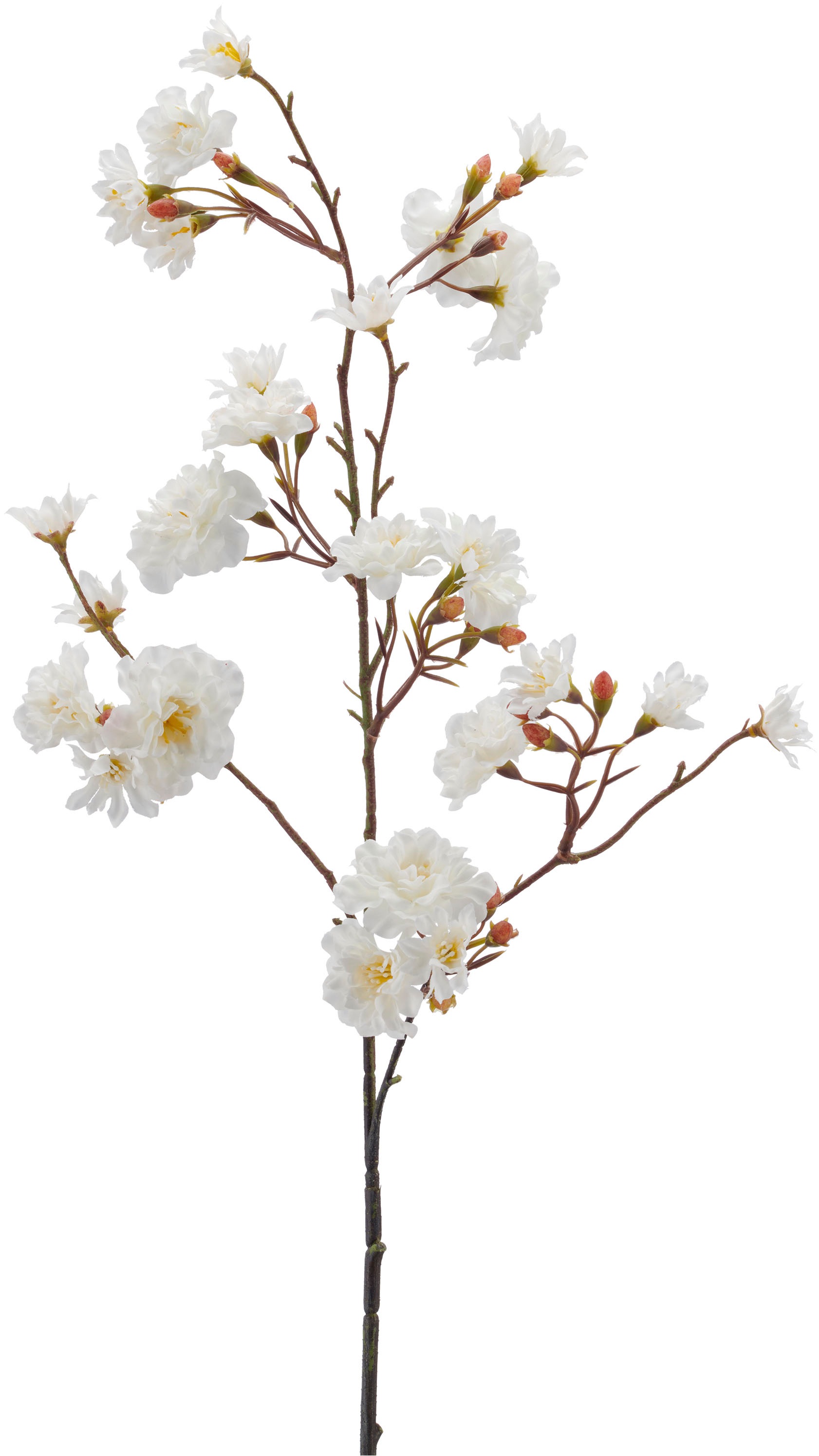 Creativ green Kunstzweig »Kirschblütenzweig« mit traumhaft schönen Blüten